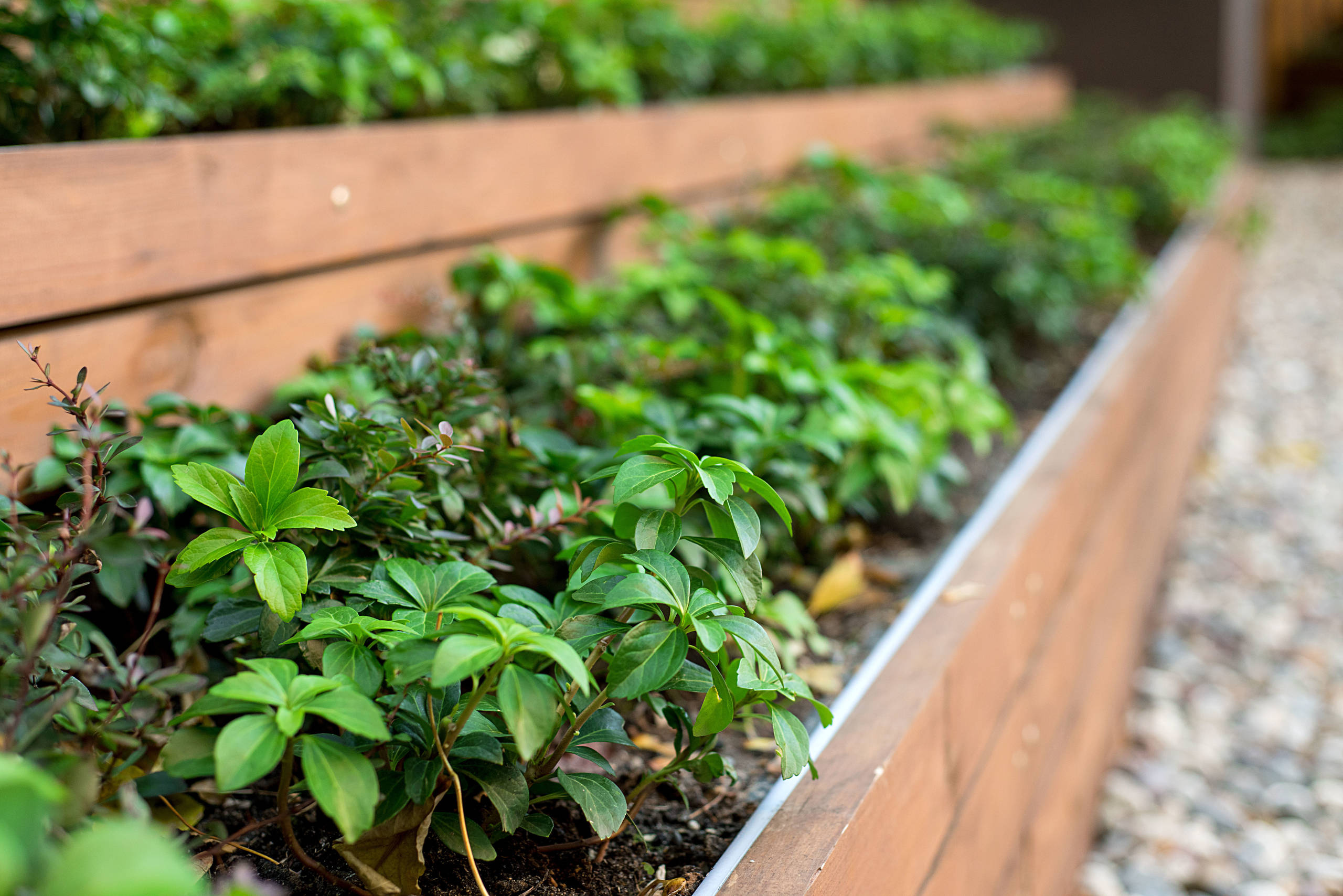 Как правильно: Создать огород в «неудобном» месте