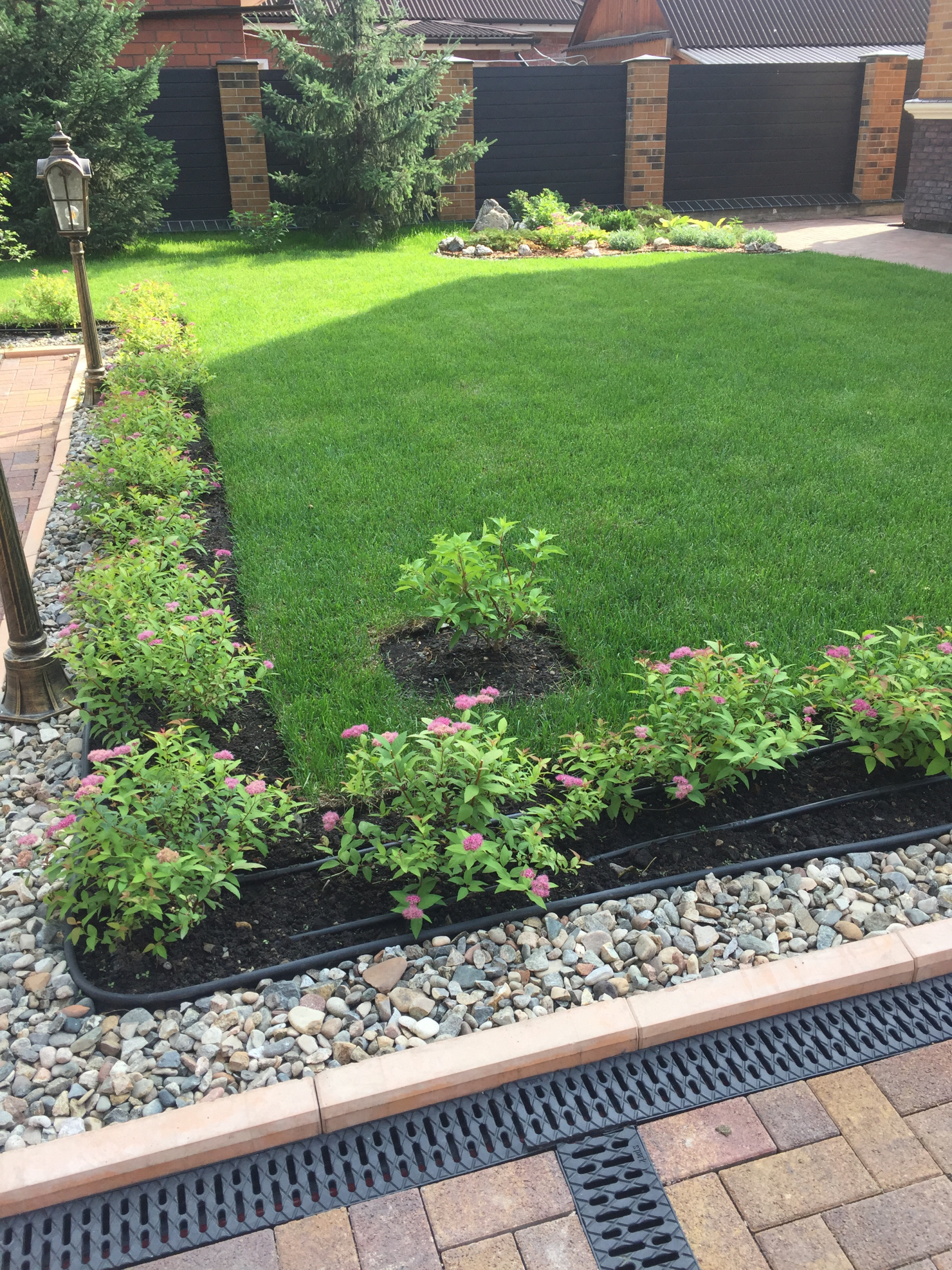 Как правильно: Отвести лишнюю воду с участка