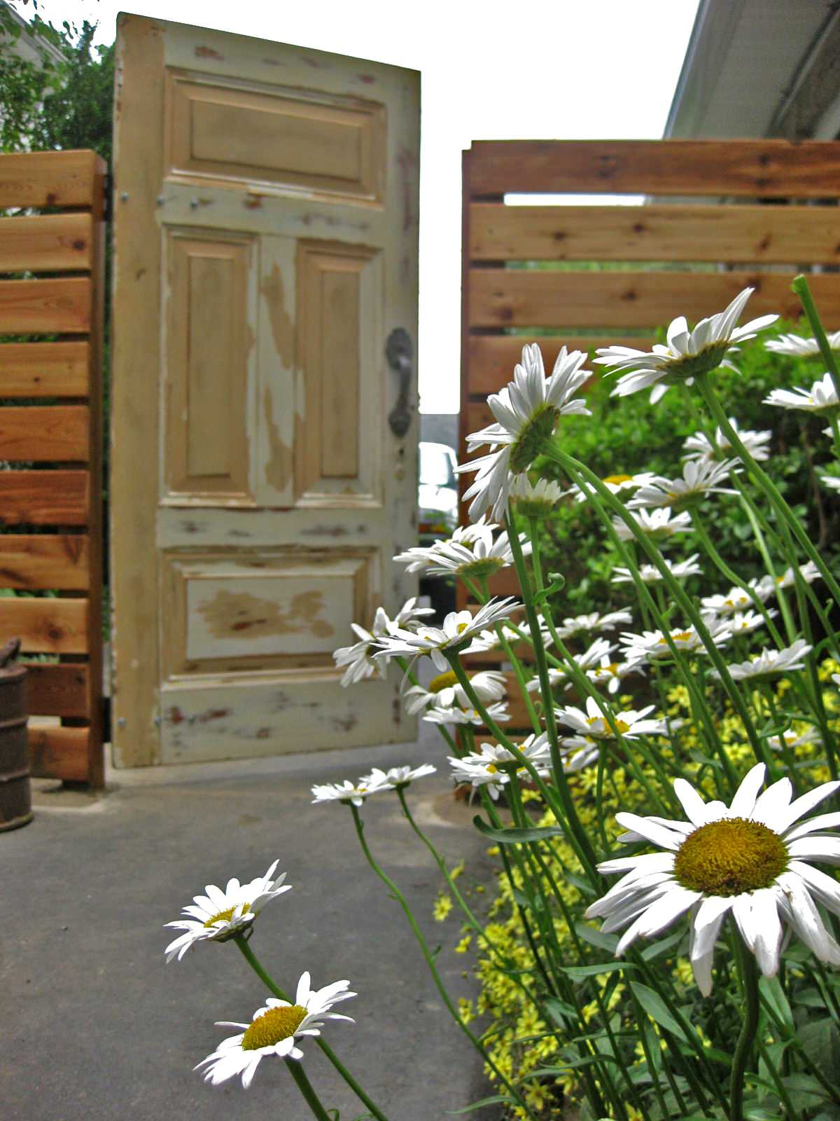 Фотоохота: 91 идея декора для калитки