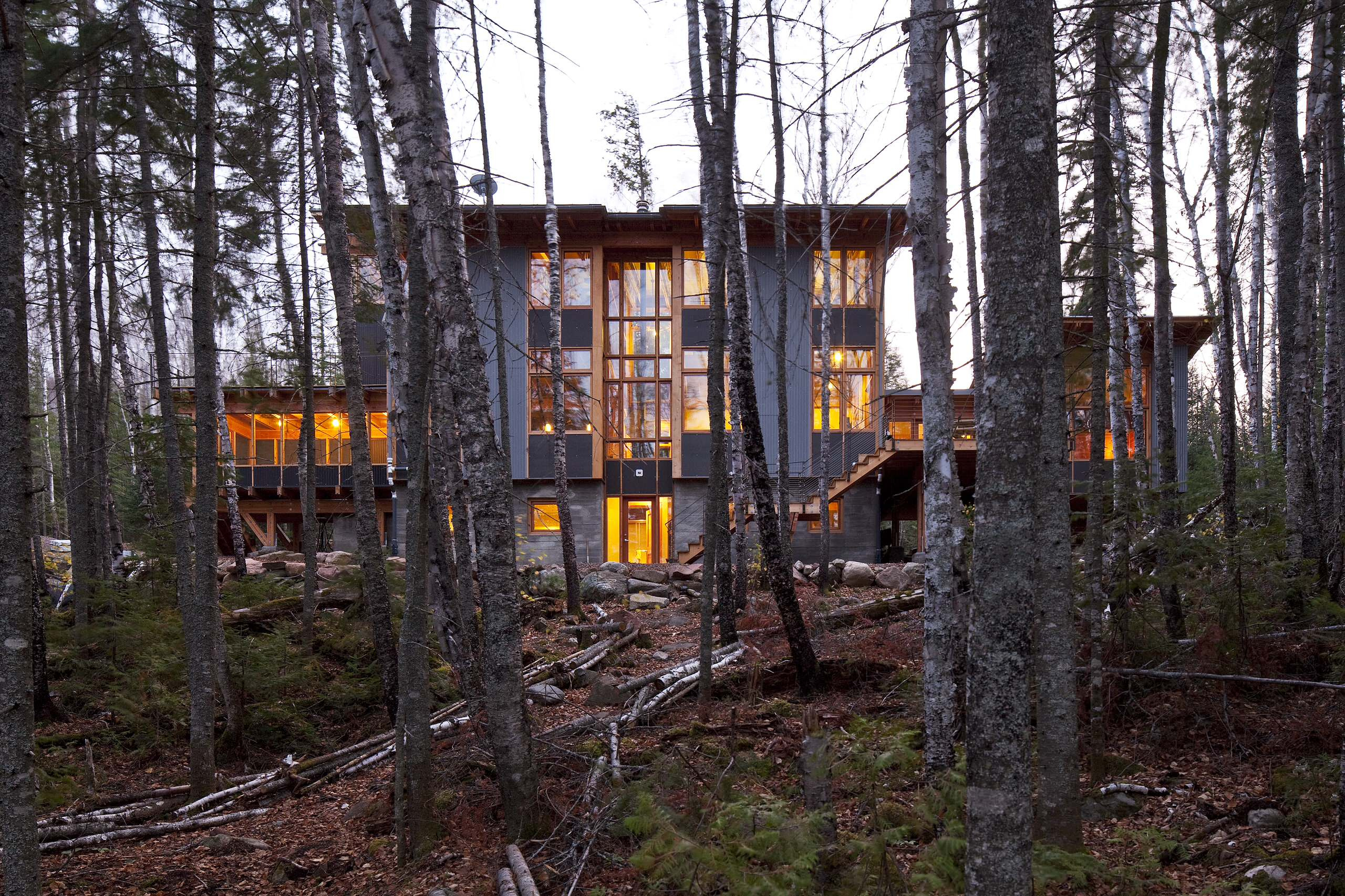 Вопрос: Как сохранить лес на собственном участке