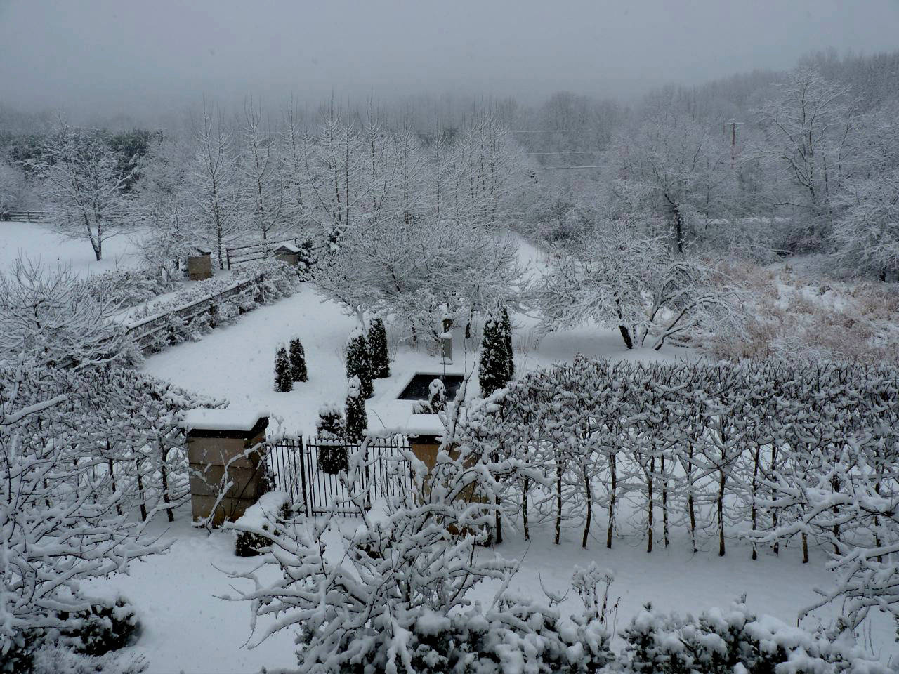 Houzz call: Покажите нам зимние пейзажи из своего окна