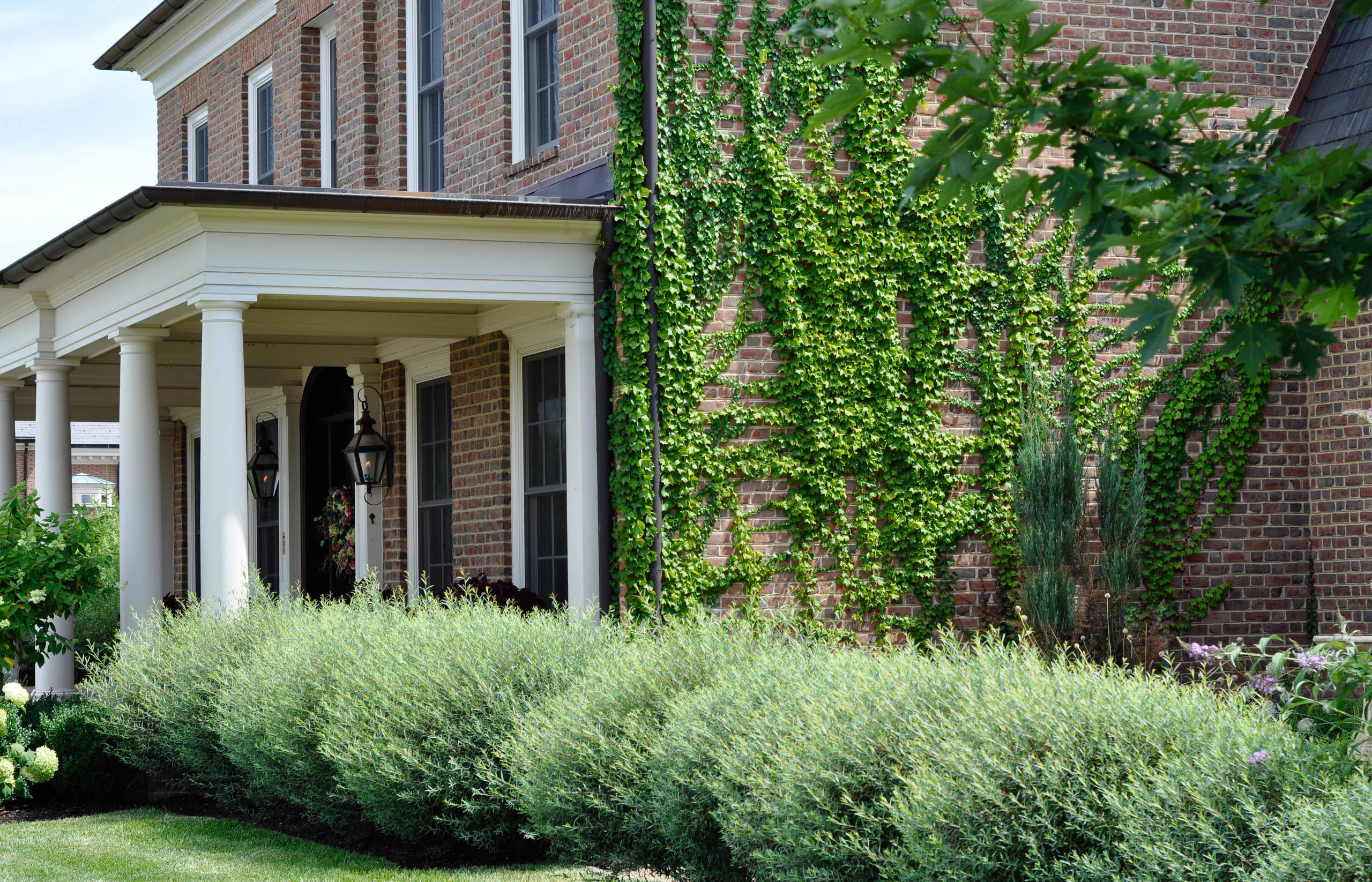 В закладки: Топ-5 растений для стриженого бордюра