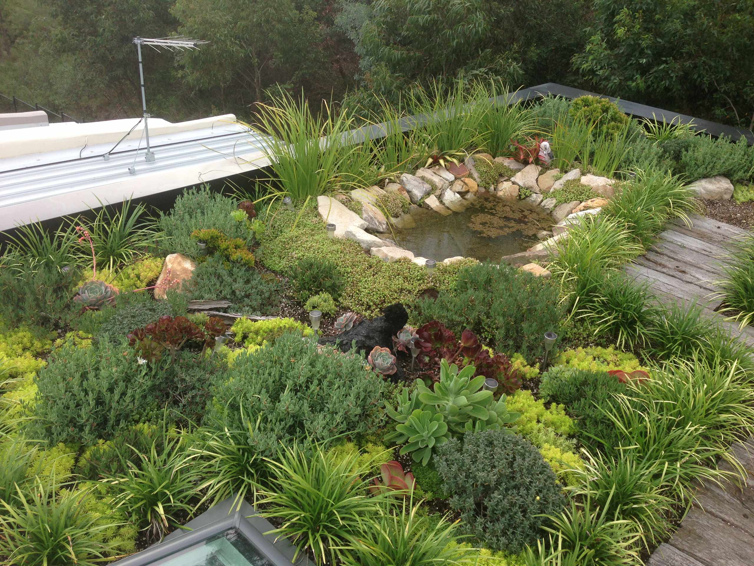 Фотоохота: 81 идея обустройства крыши на летний период