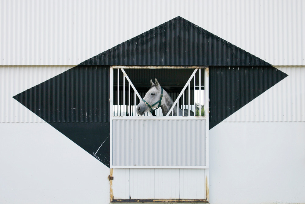 Дачный дом: Быстро, дешево — реально?