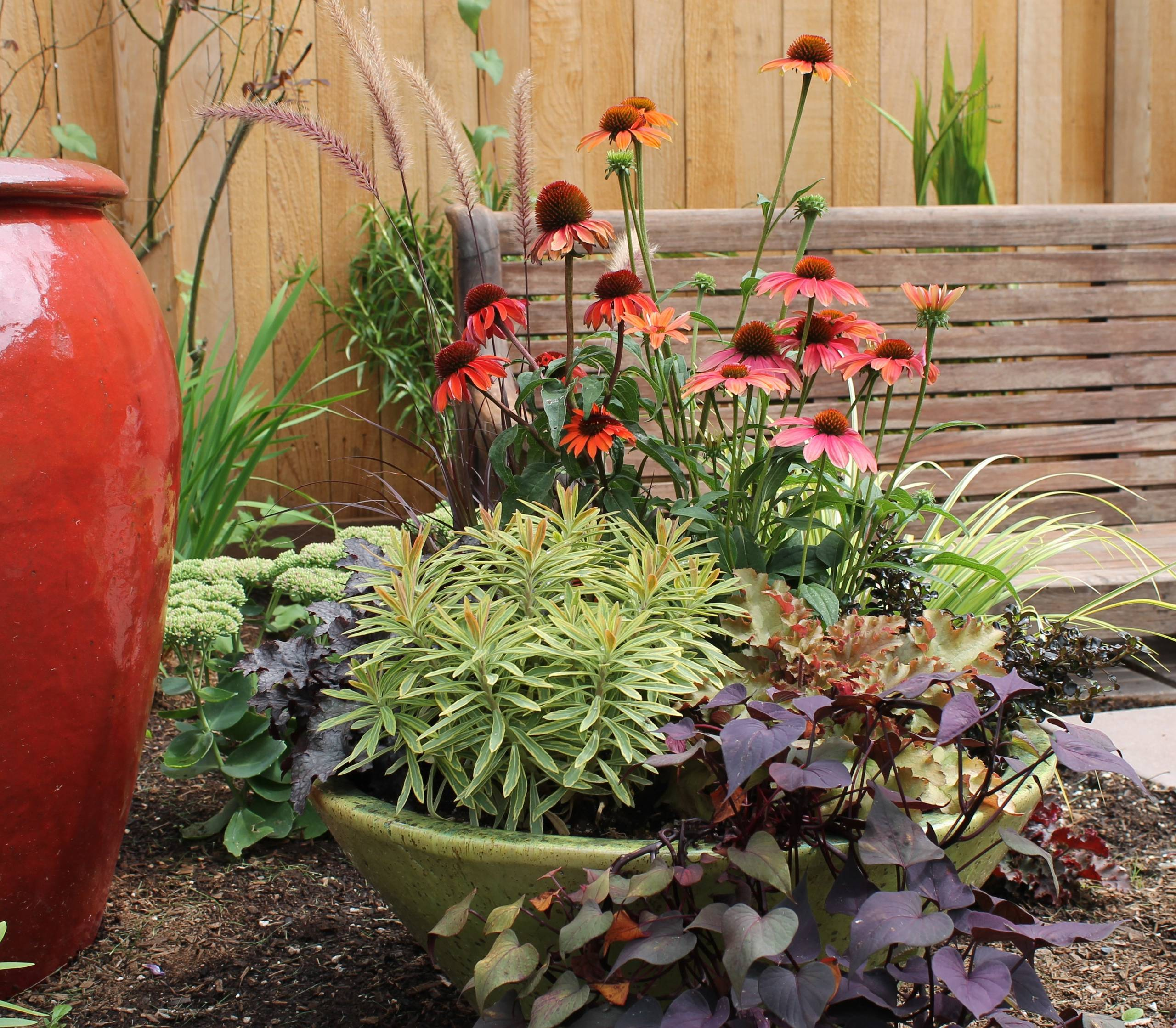 Фотоохота: 50 схем для высадки в летние кашпо