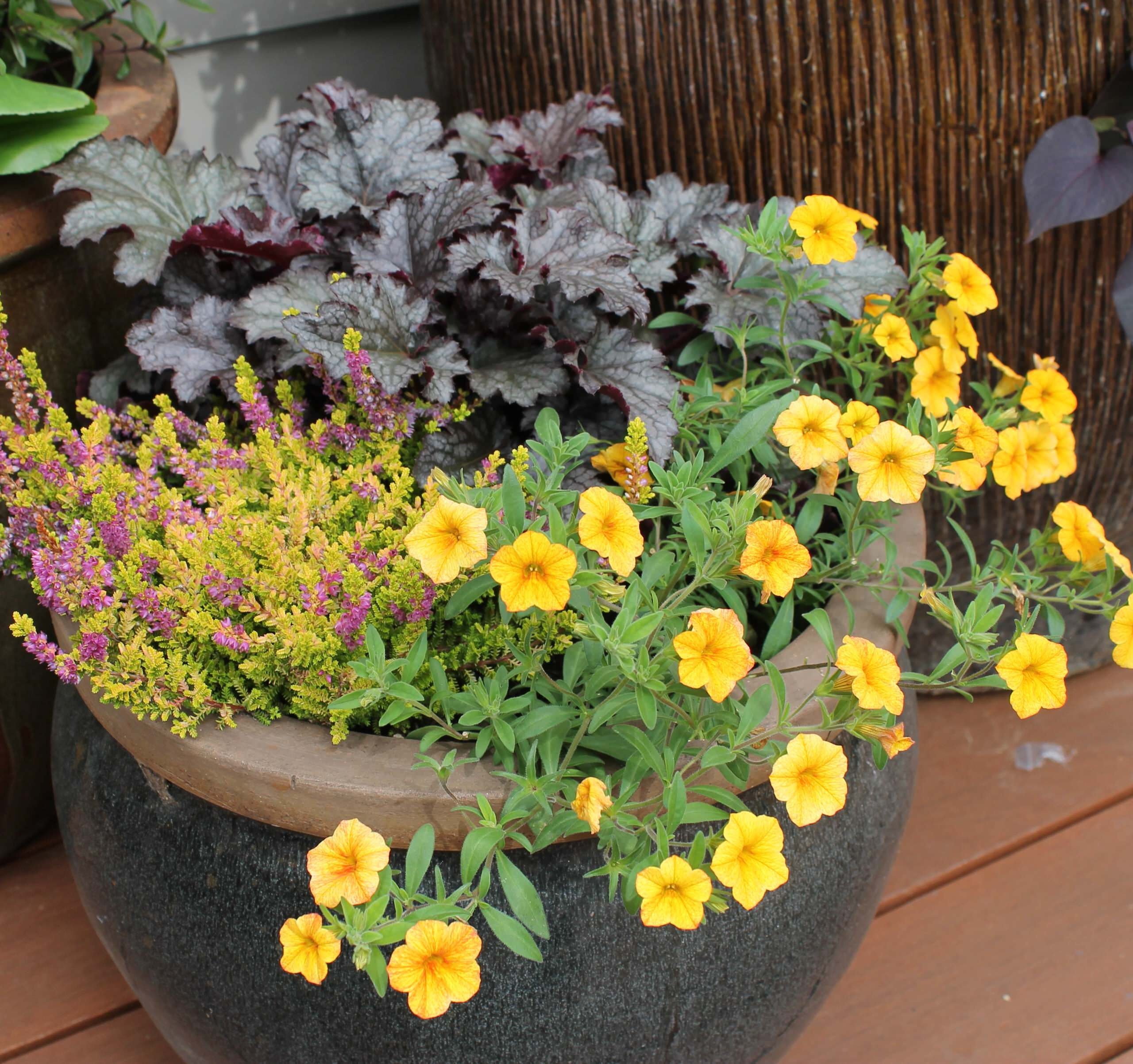 Фотоохота: 50 схем для высадки в летние кашпо