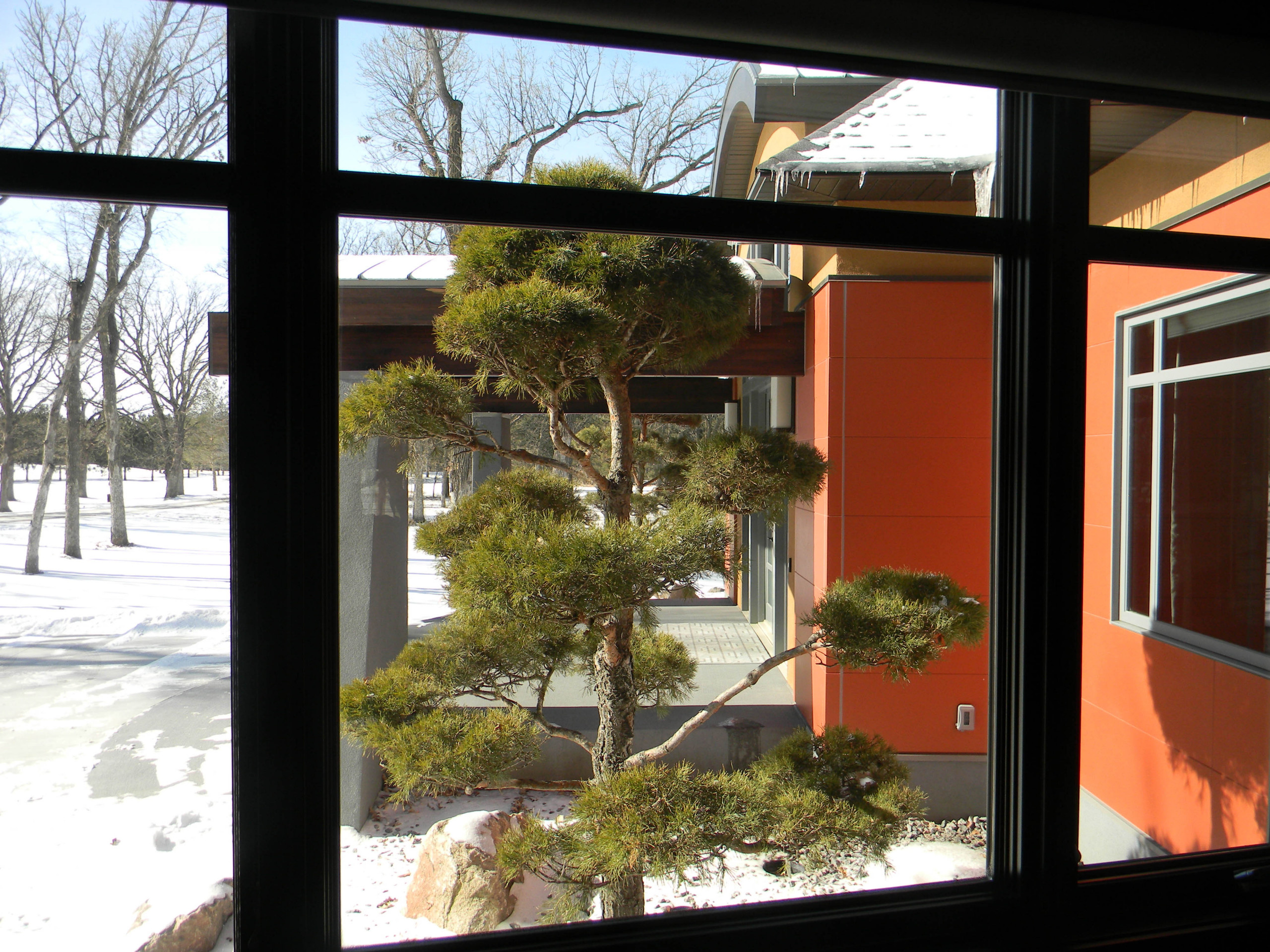 Как правильно: Решить проблему снега на участке