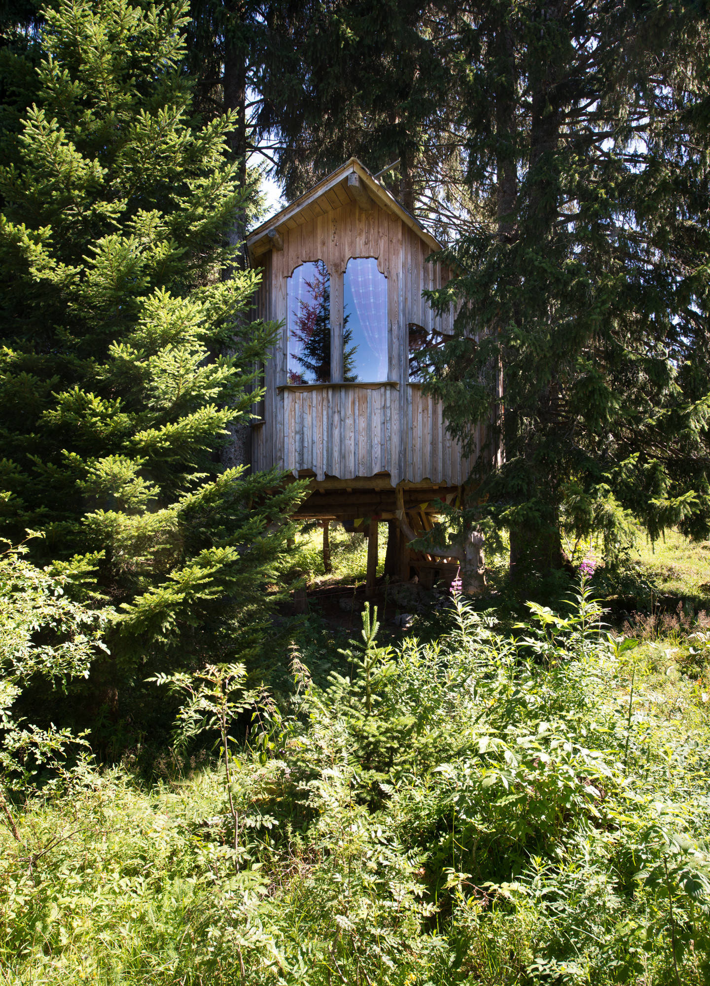 Прогулка на диване: Дома в глухом лесу