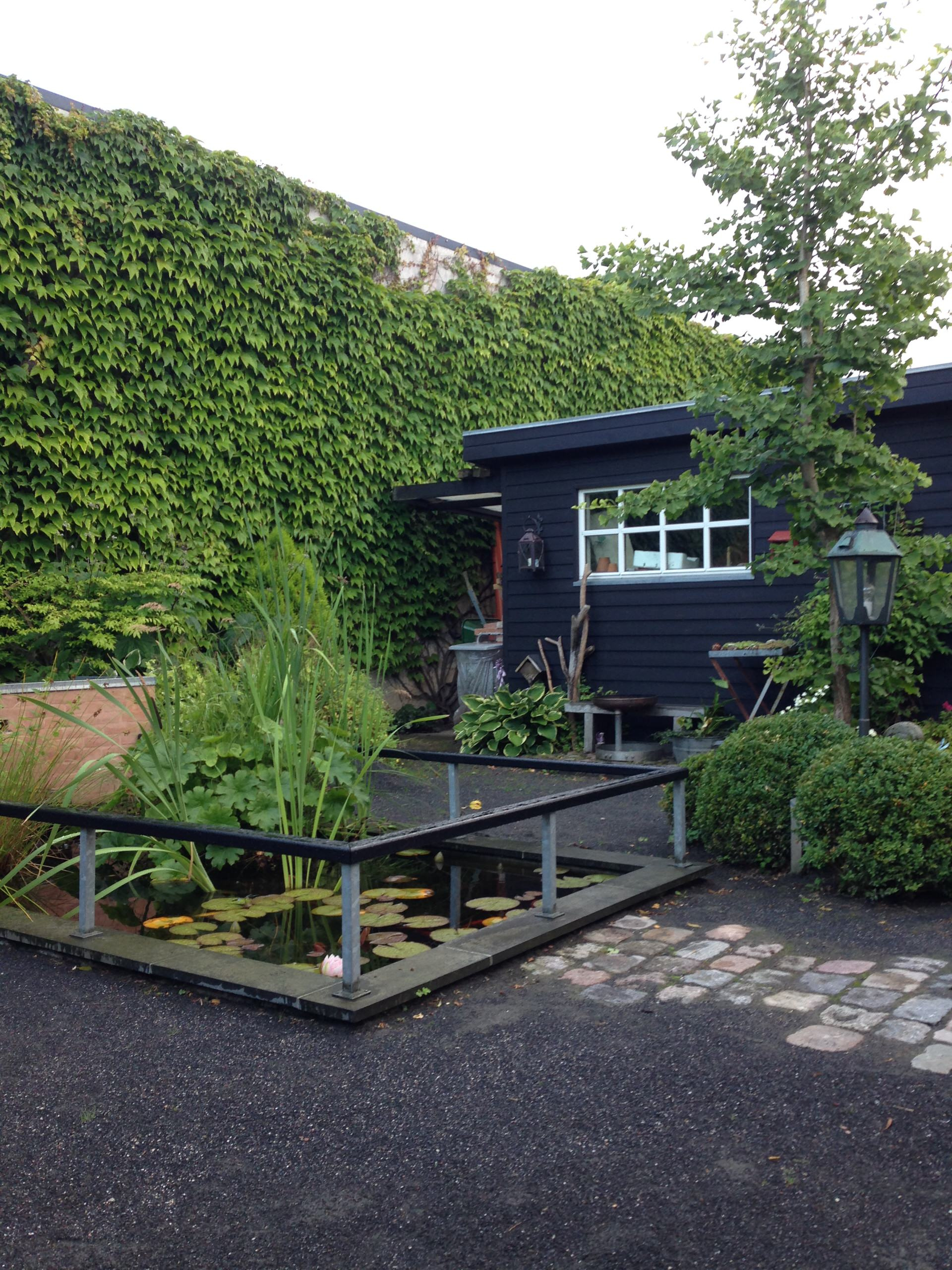 Фотоохота: 93 садовые дорожки мечты