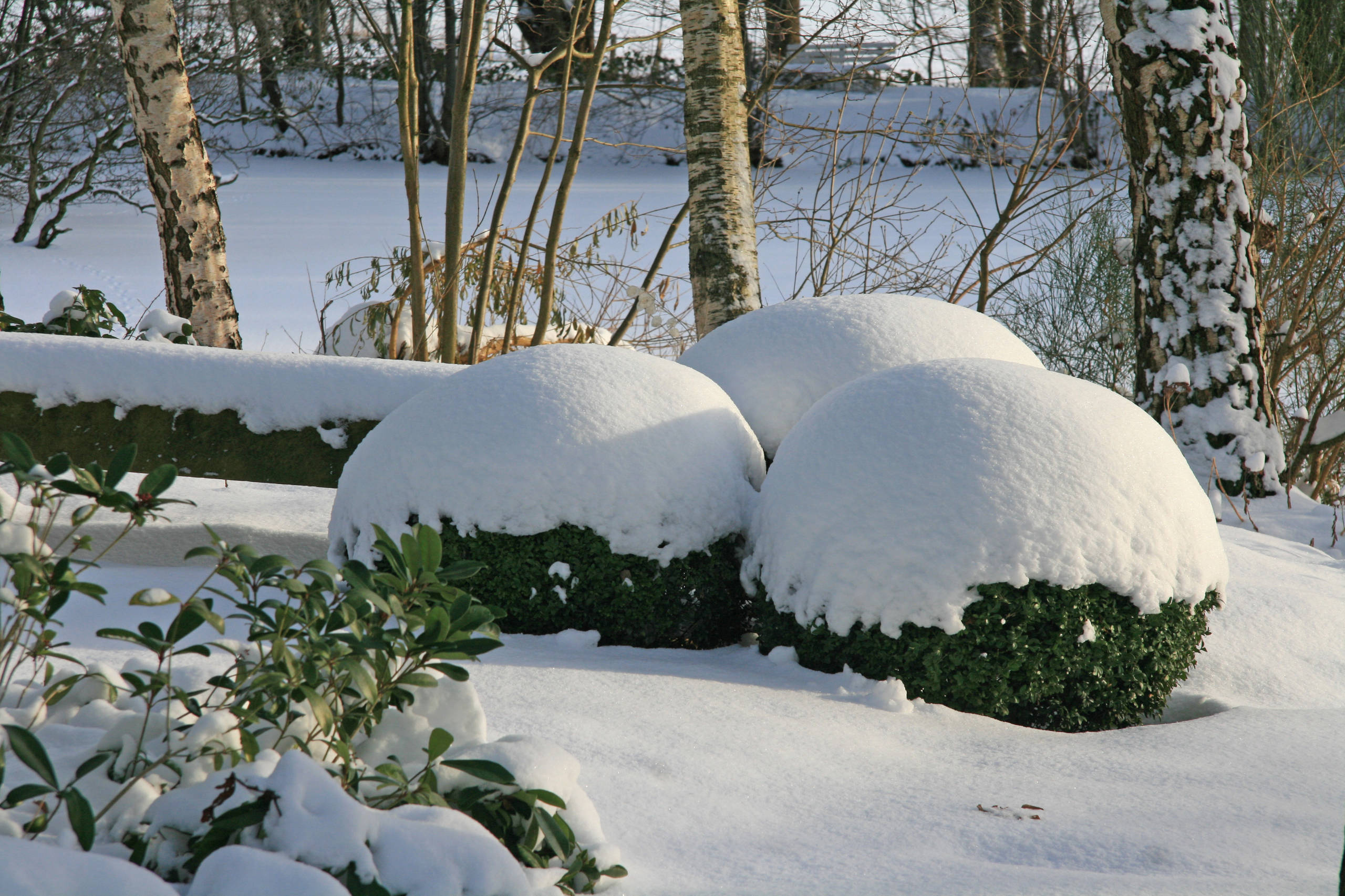 Хороший вопрос: «Сад малого ухода» — сказки ли это