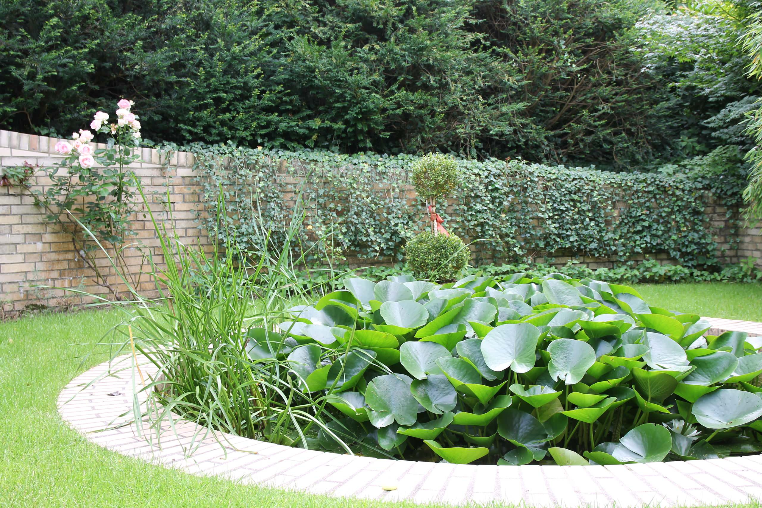 Фотоохота: 69 идей, как оформить пруд на даче