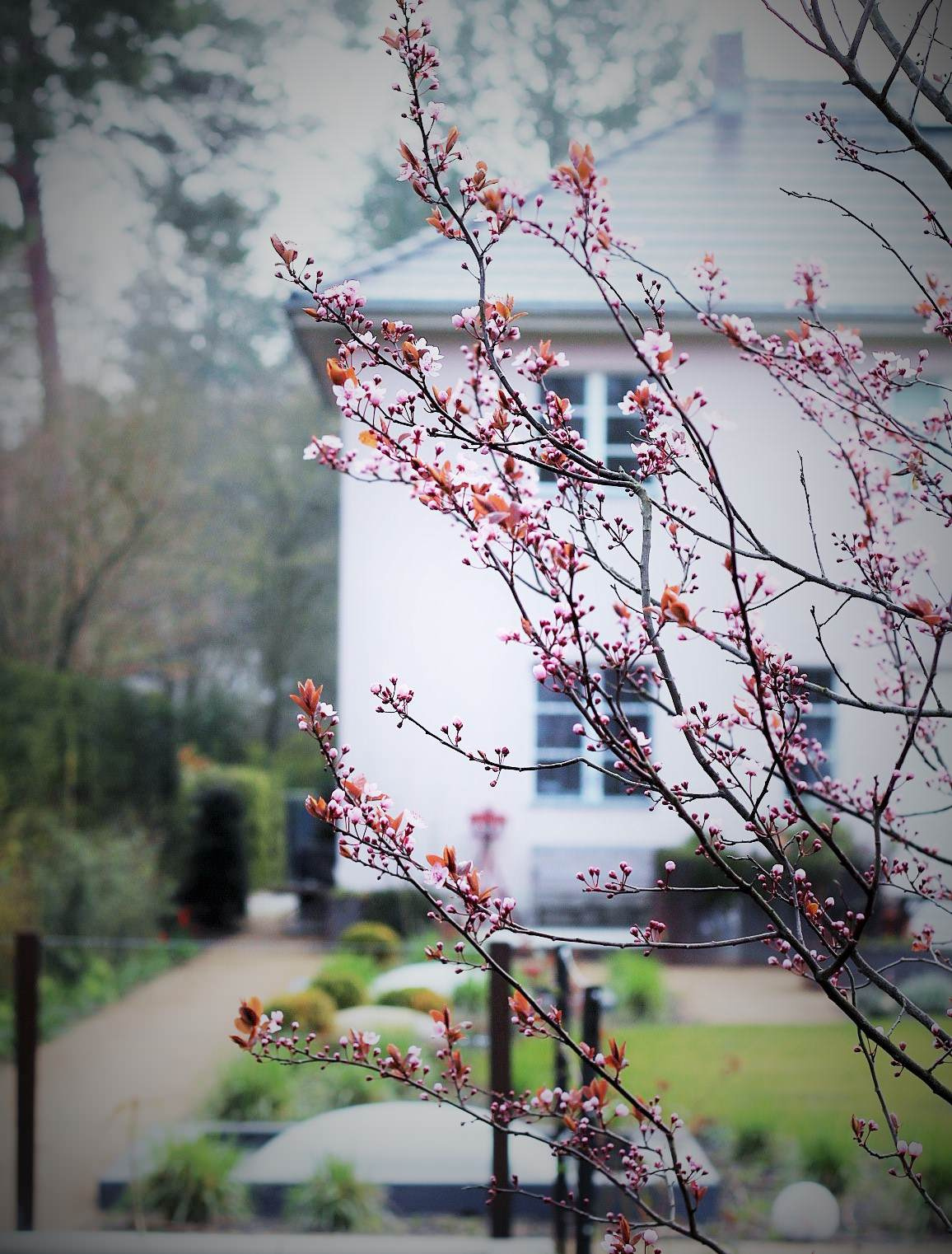 Время: Как быстро (или долго) делается проект ландшафта