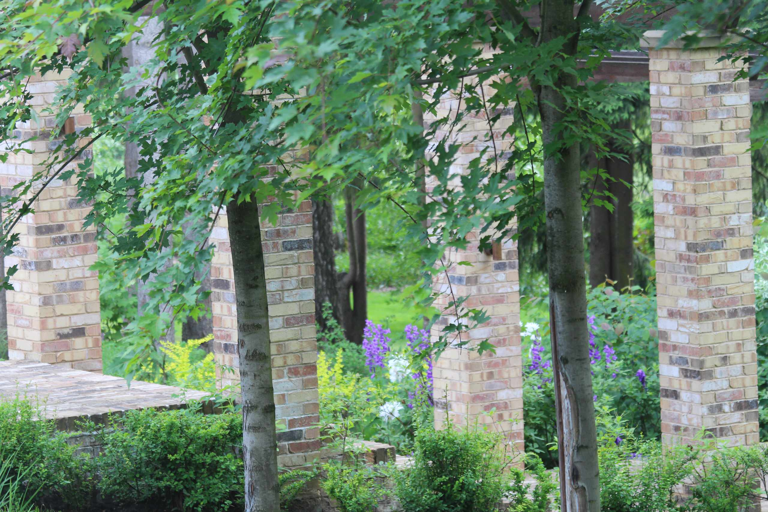 Проект недели: Сад в Барвихе по британскому проекту