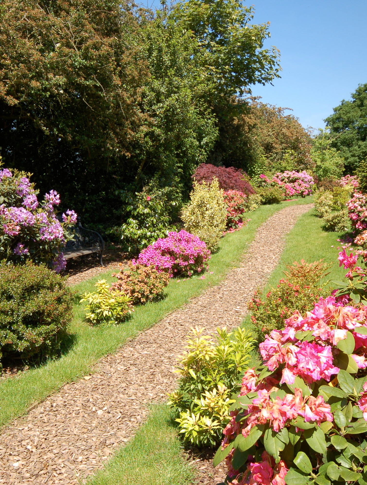 Фотоохота: 93 садовые дорожки мечты