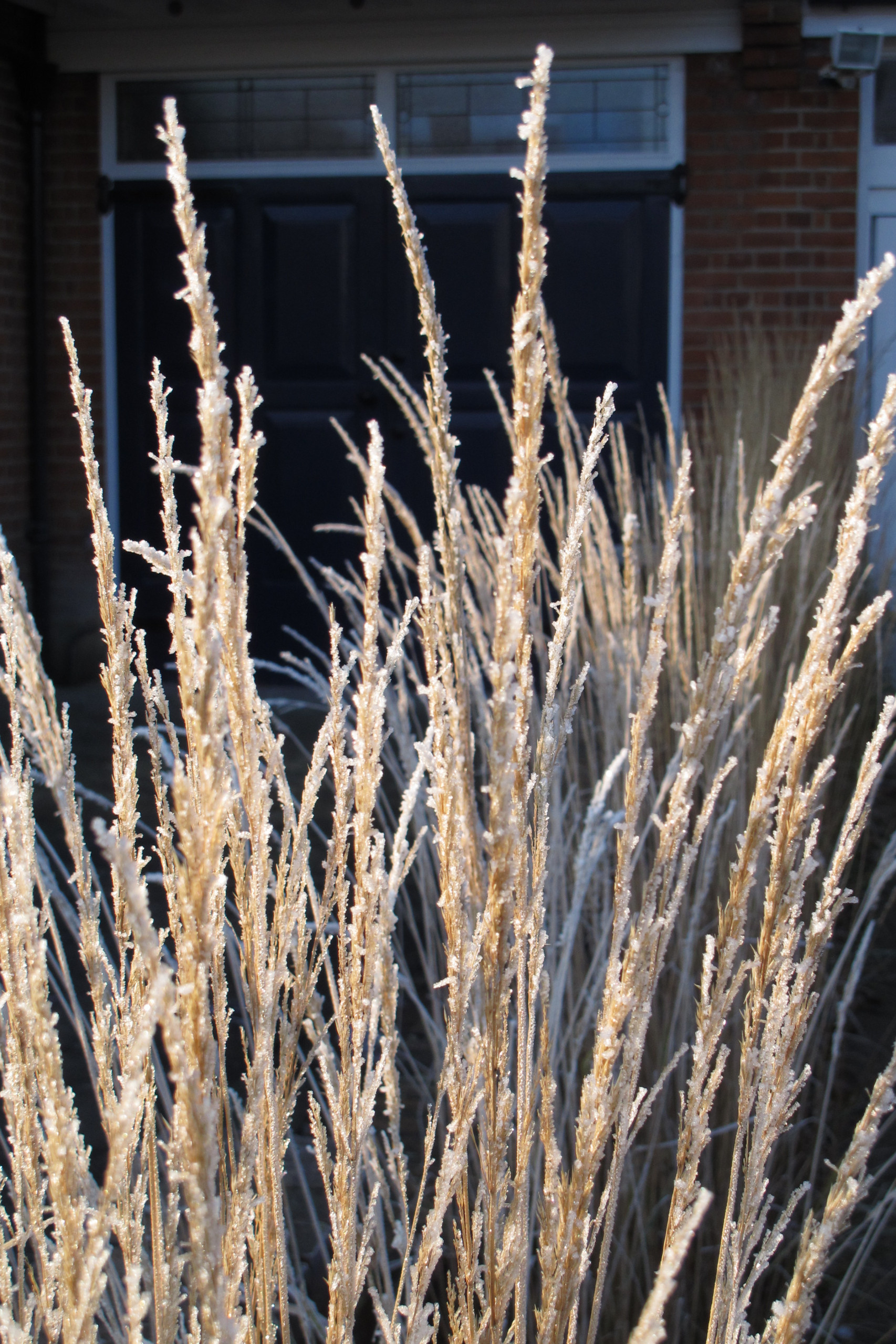 Тренд: Убирать миксбордеры по осени уже не модно