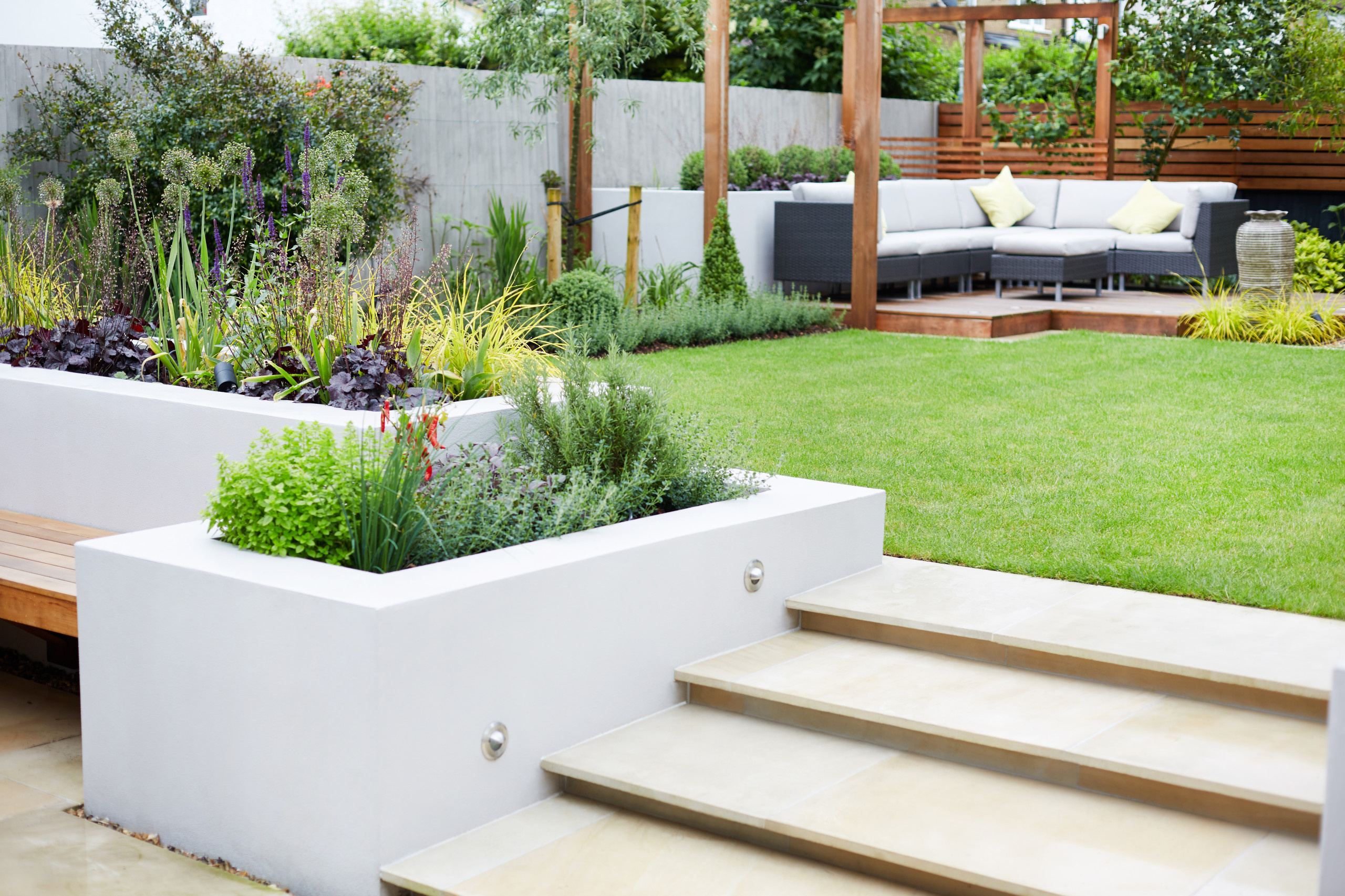 Фотоохота: Выше клумба от земли