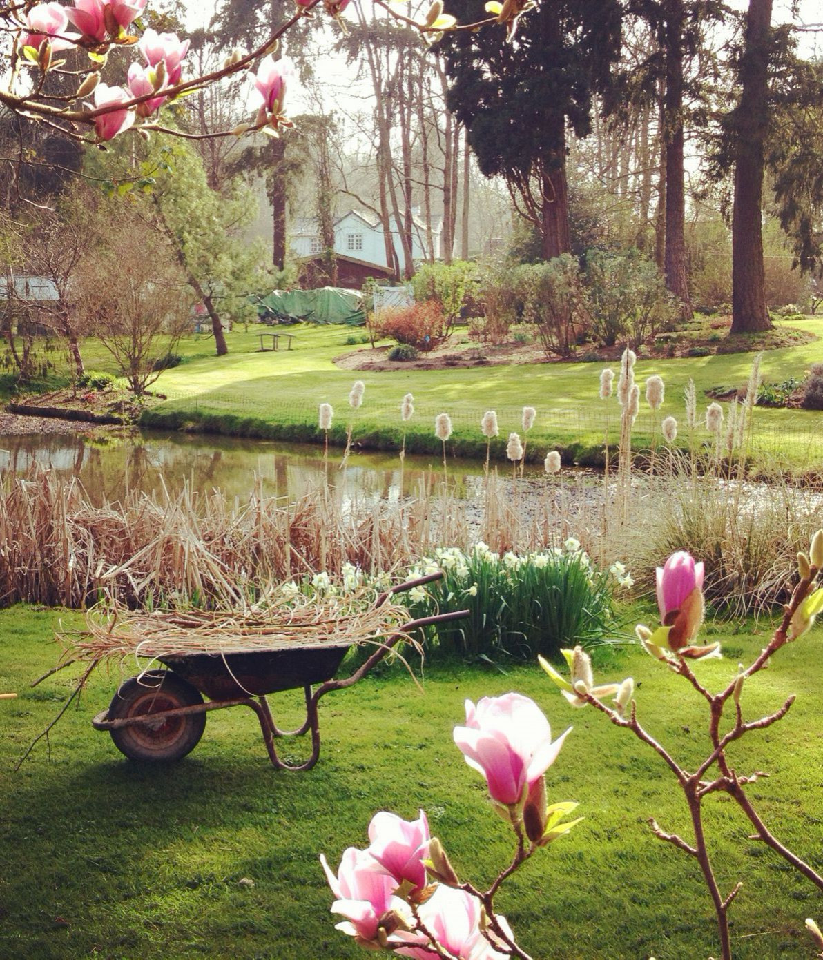 «Ленивый» календарь майских работ на участке