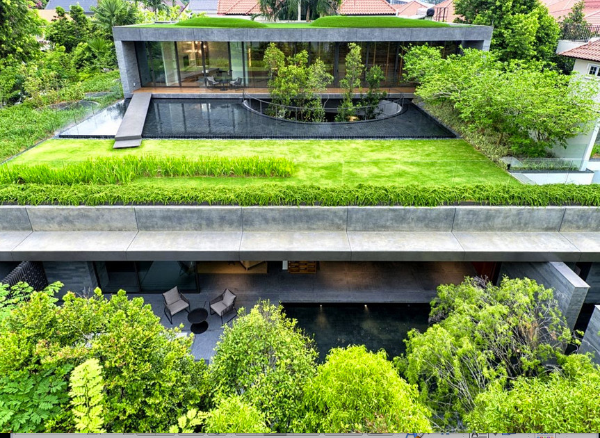 Фотоохота: 81 идея обустройства крыши на летний период