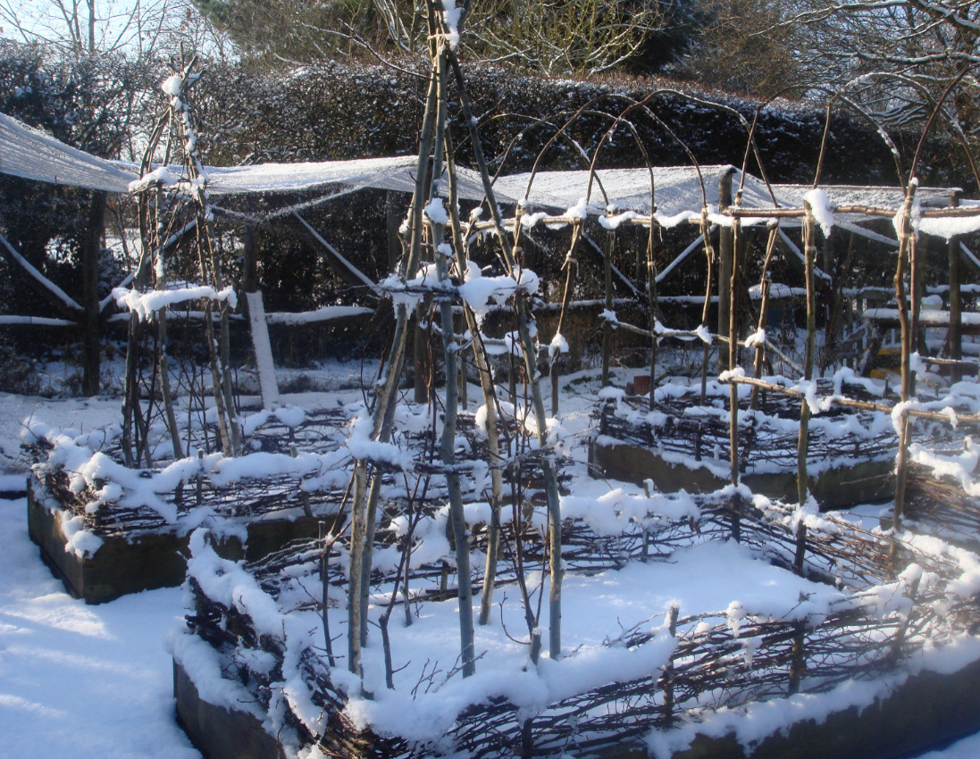 Вопрос: Какие работы важно проводить в саду зимой