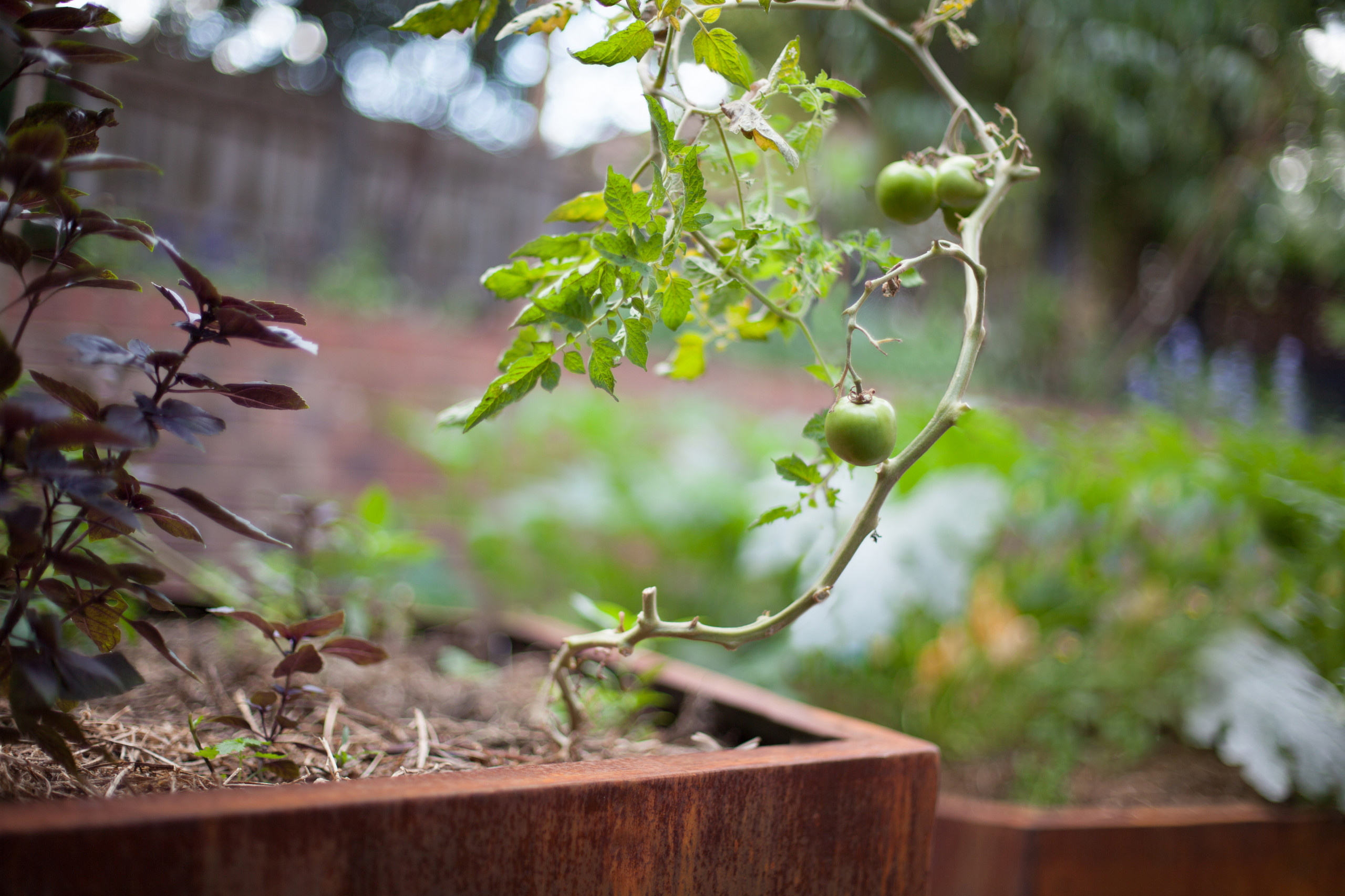 Как правильно: Создать огород в «неудобном» месте