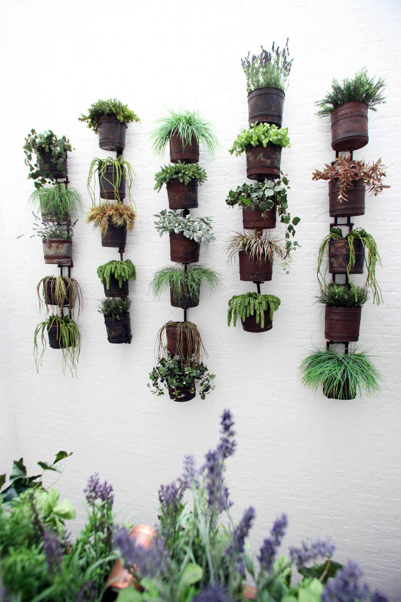 Просто фото: 24 идеи для вертикального озеленения дома и сада