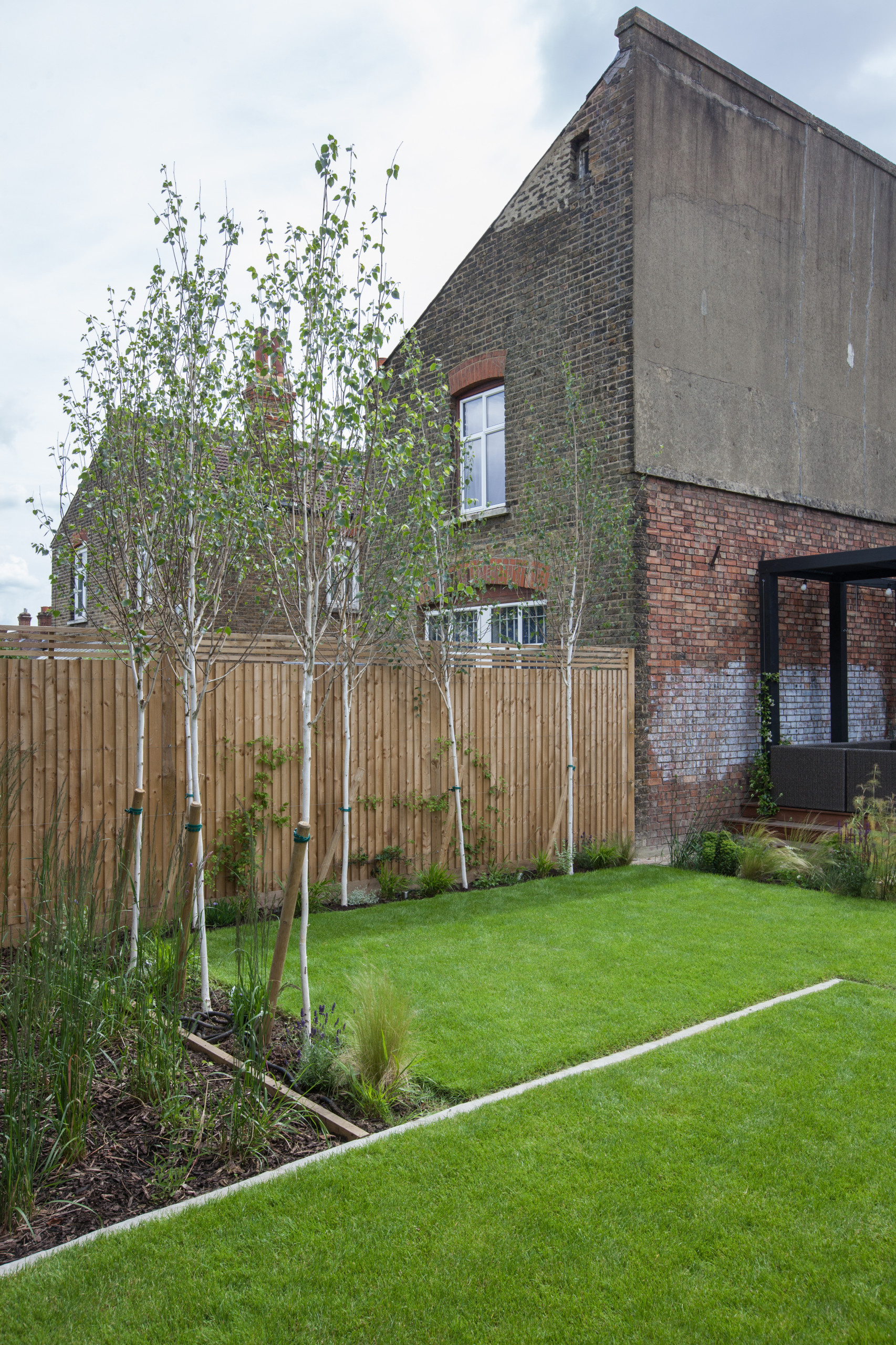 В закладки: Быстрорастущие деревья и кустарники