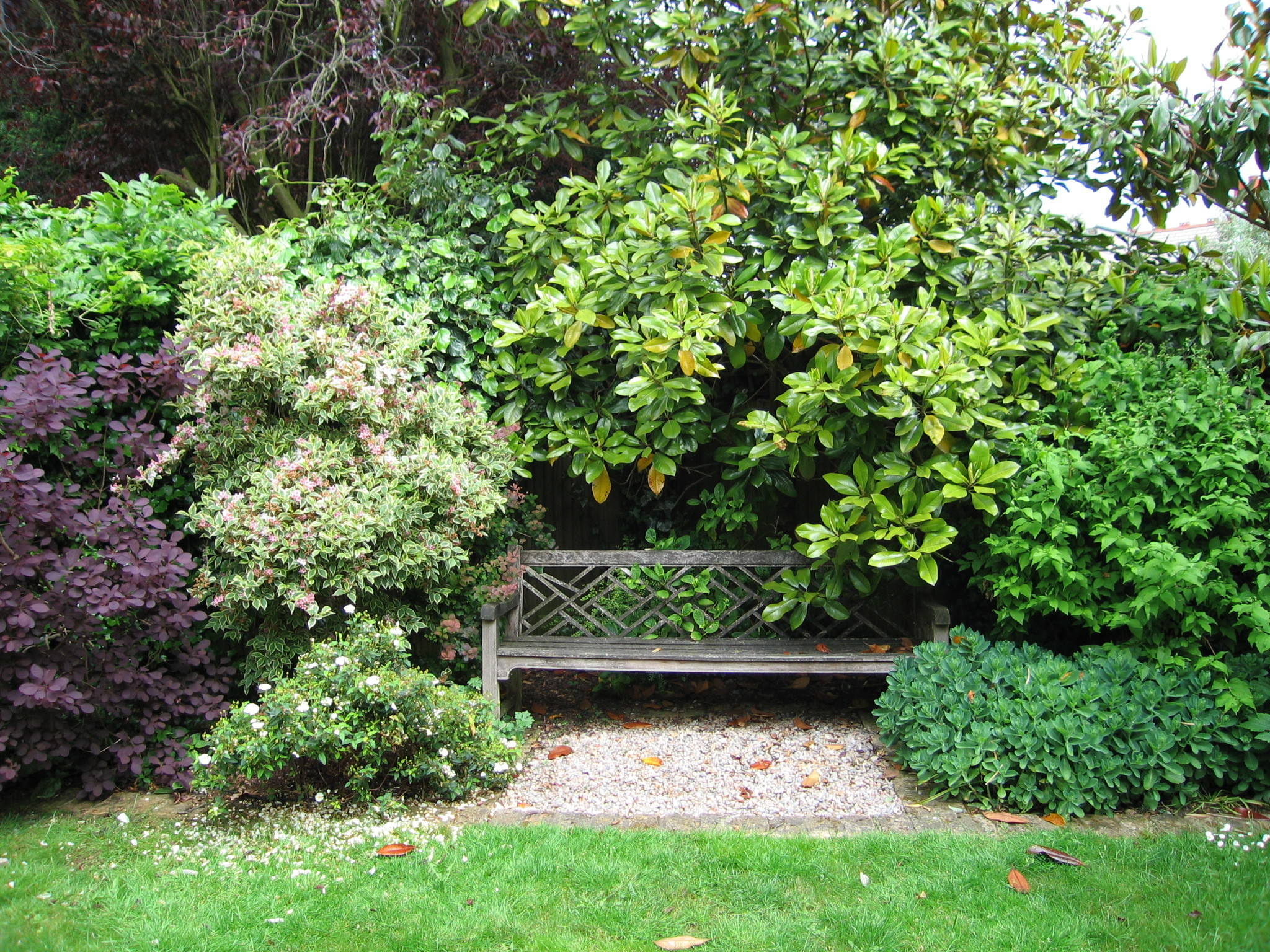 Не подглядывай: Планируем опушки на участке