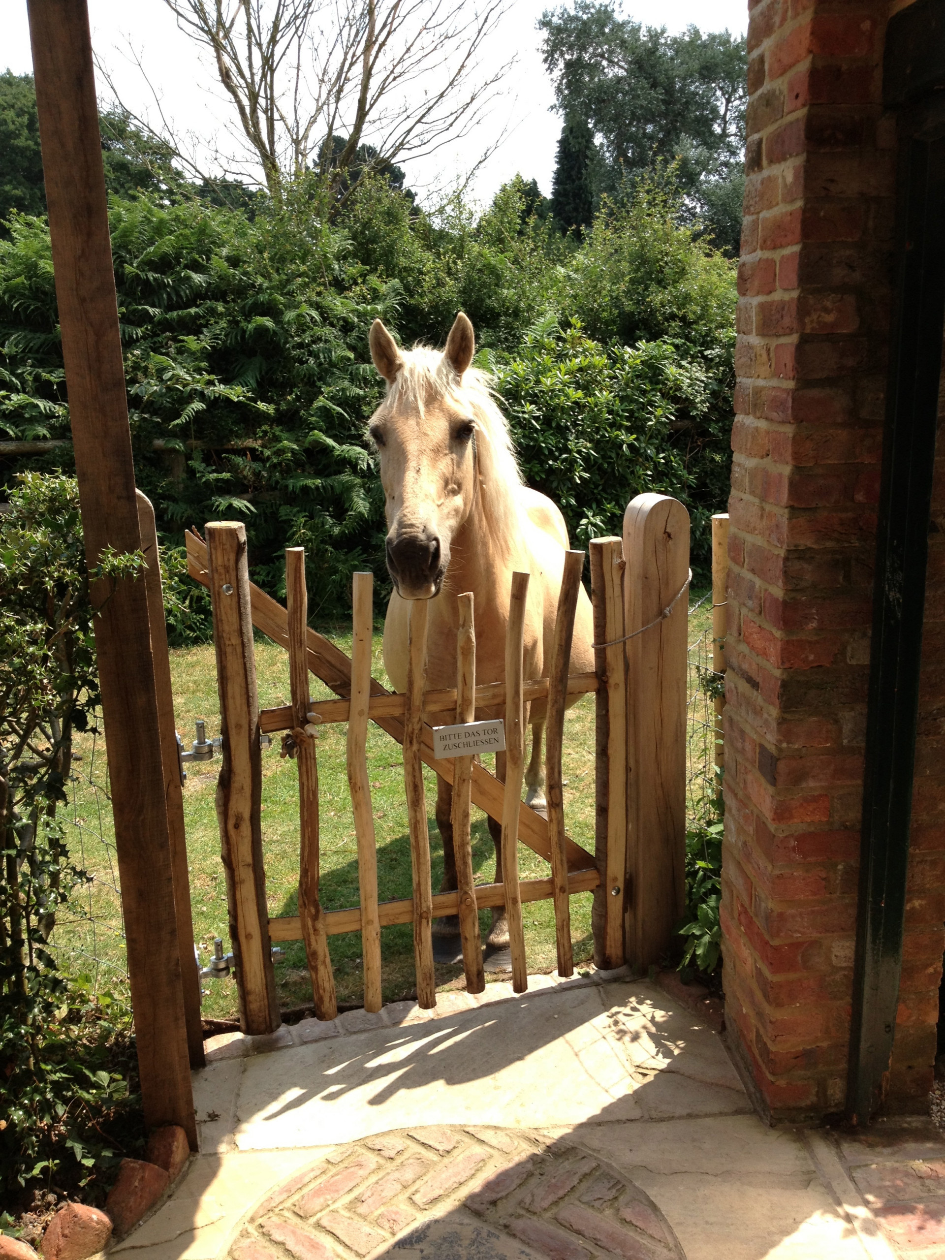 Фотоохота: 91 идея декора для калитки