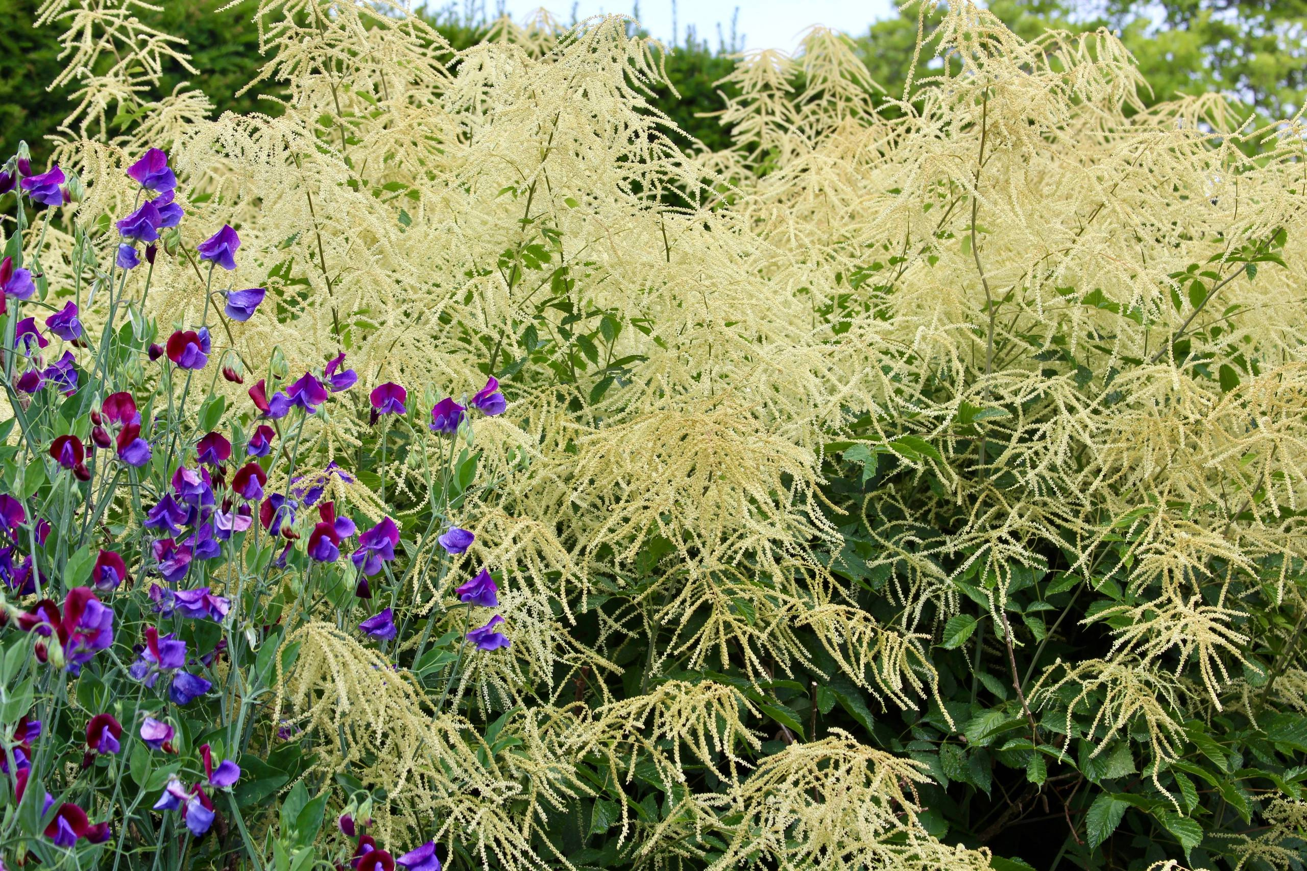 Ваш участок 10 соток? —Забудьте о саде «новой волны»