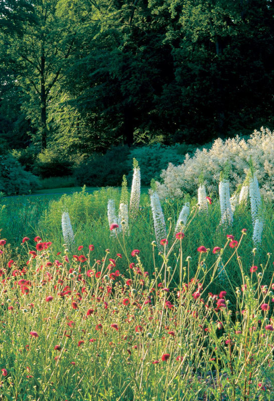 Хороший вопрос: «Сад малого ухода» — сказки ли это