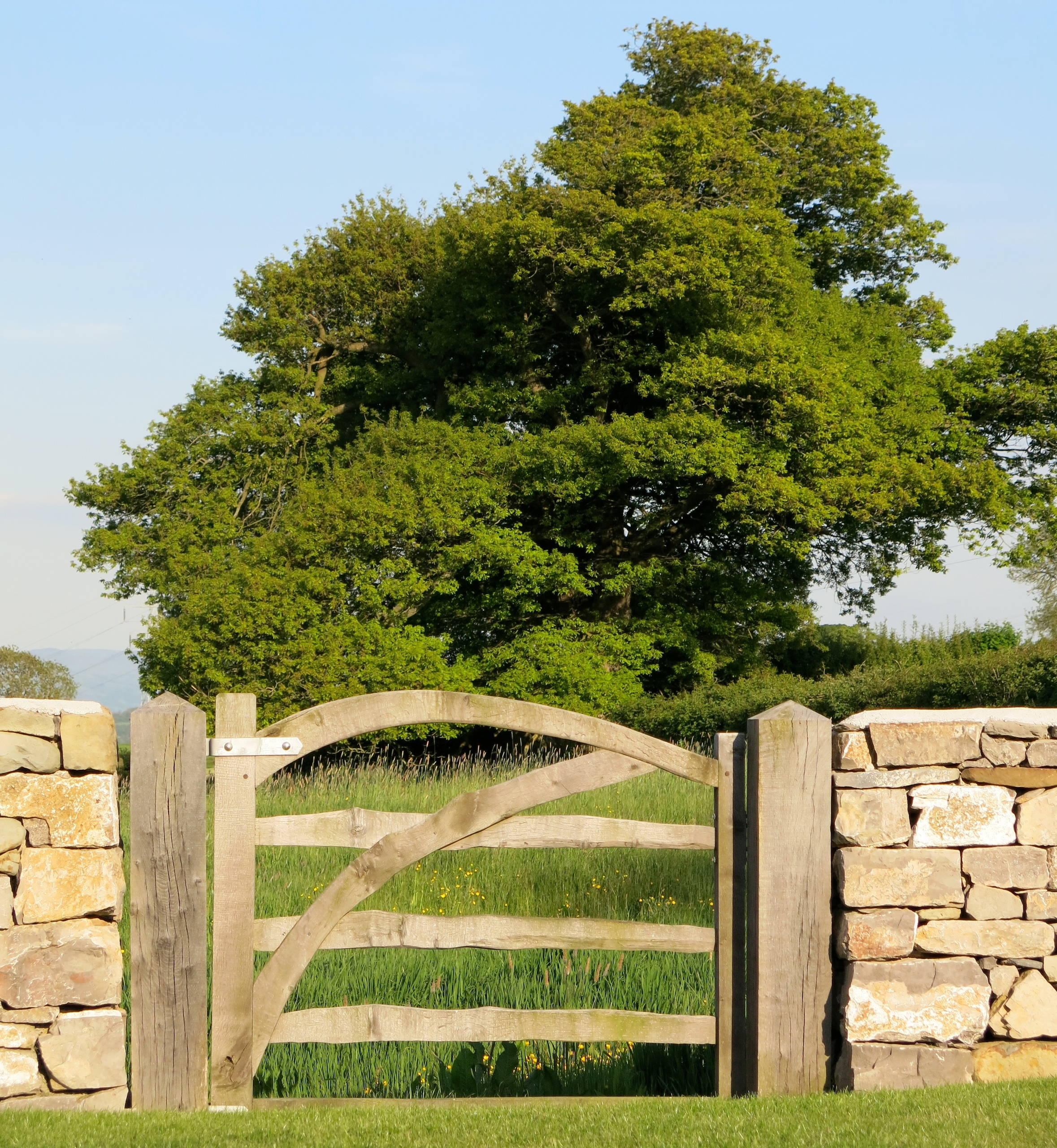 Фотоохота: 91 идея декора для калитки