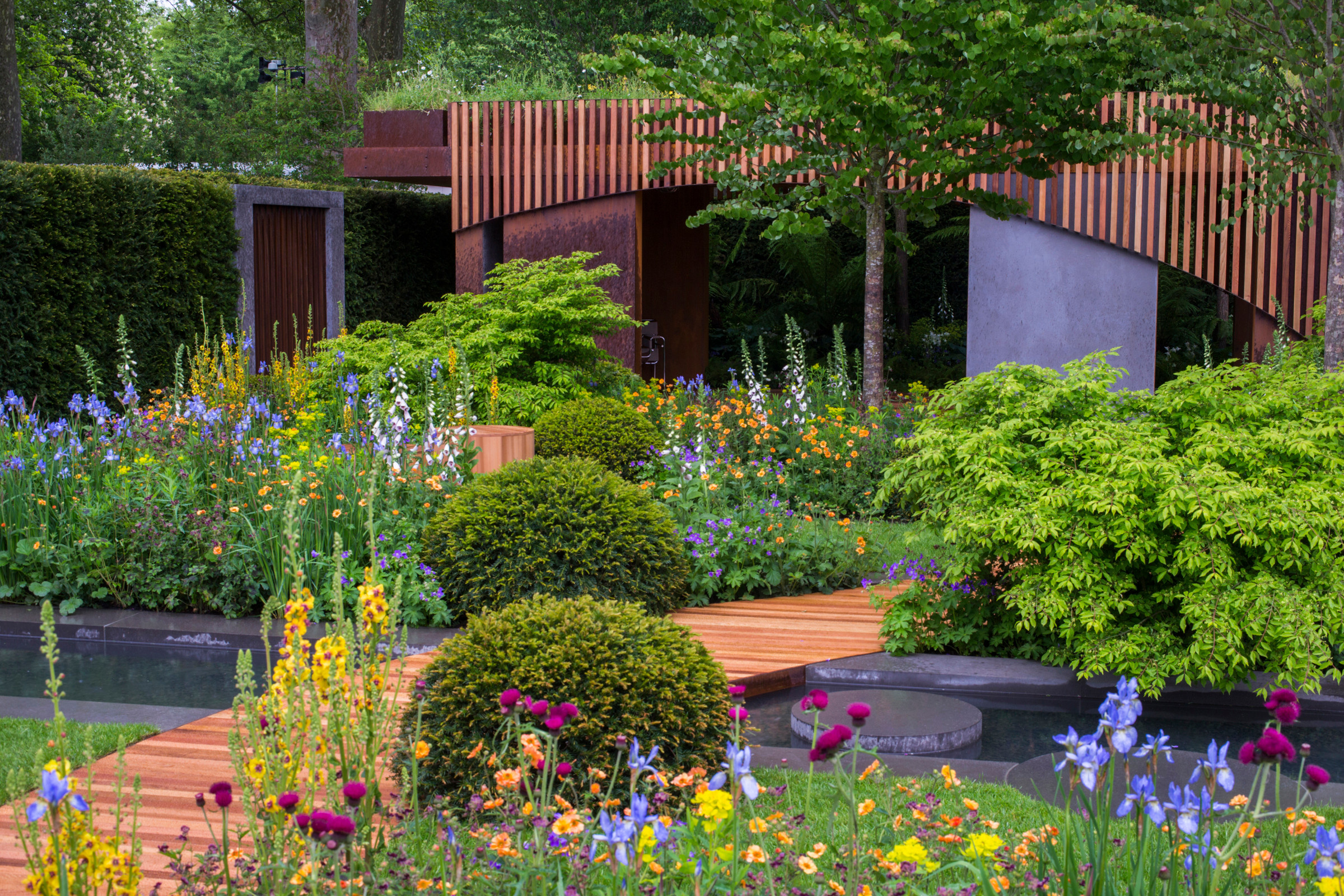 Сад для ленивых: Создание красивого сада, не требующего ухода