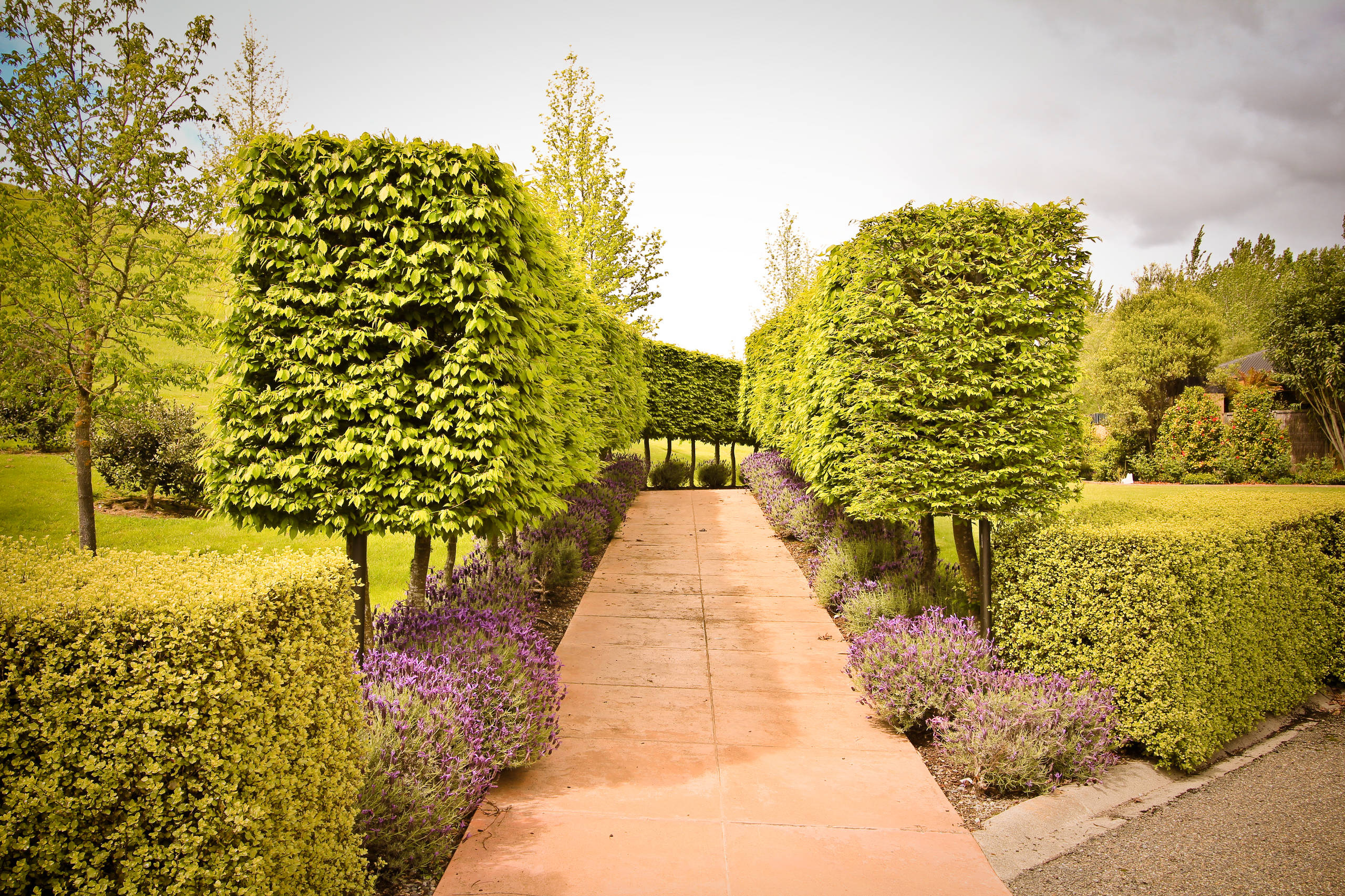 Управляй вниманием: Как показать сад во всей его красе