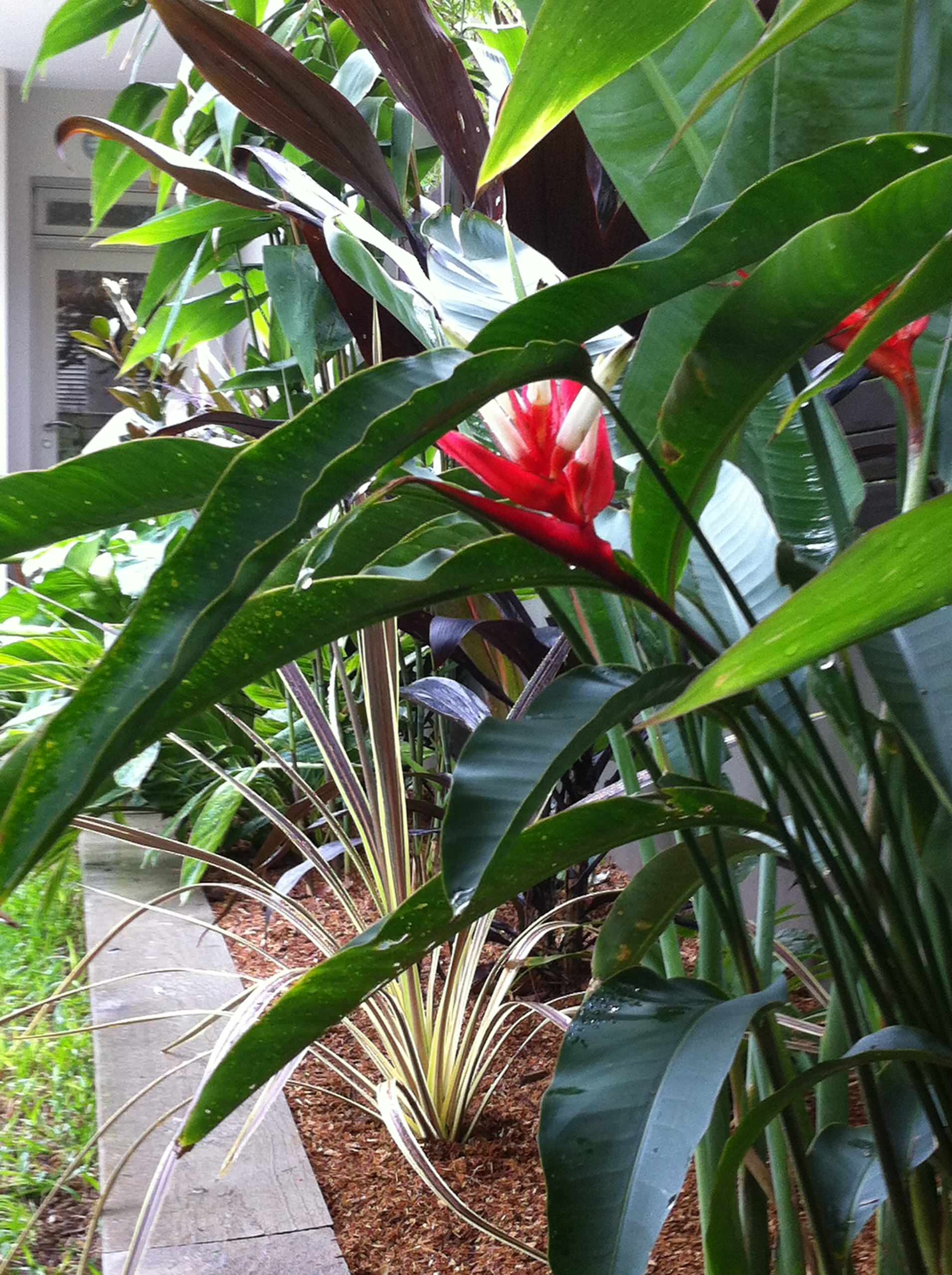 Зимний сад: Как понять, какой тип подходит именно вам