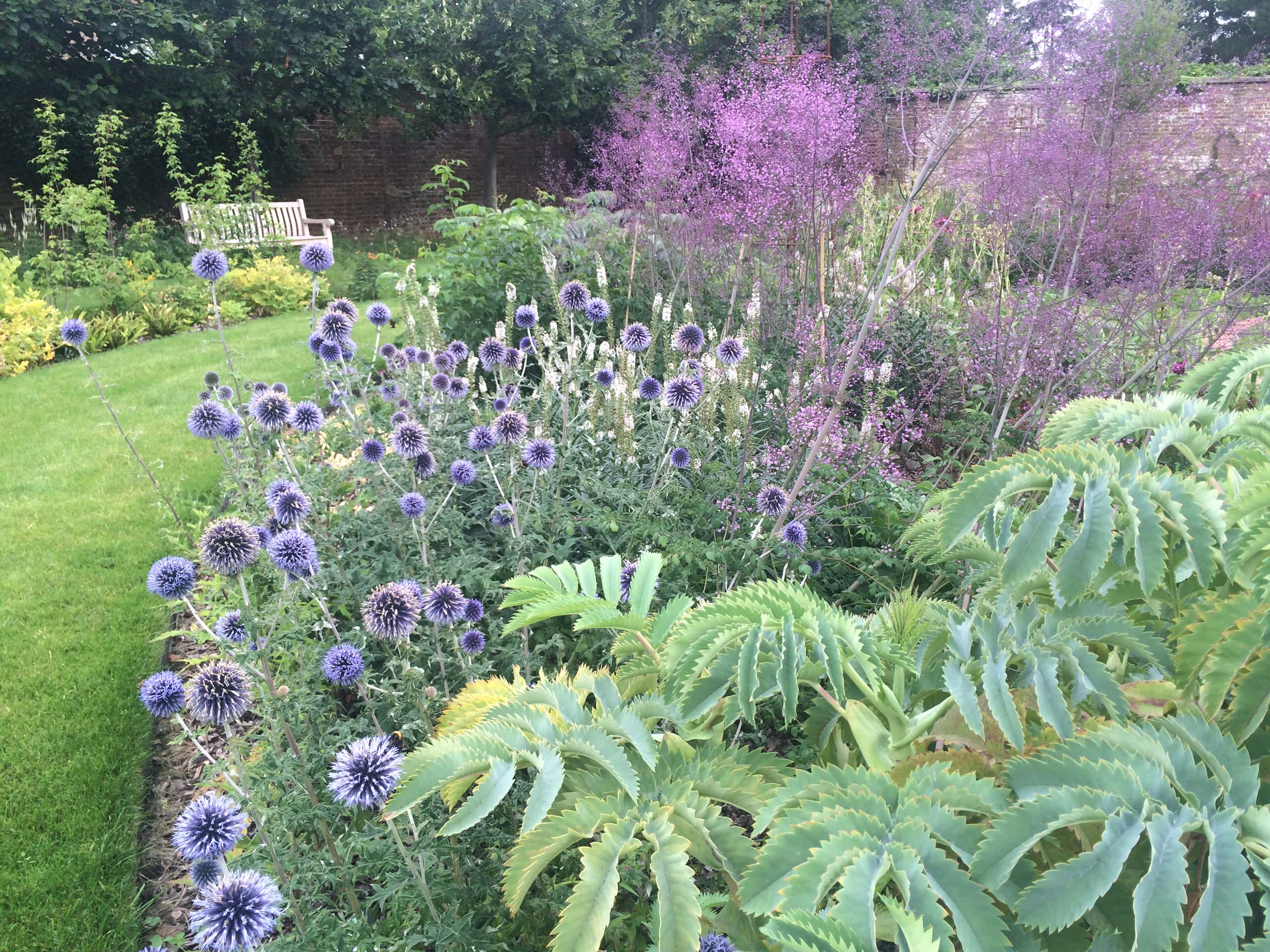 Зачем вам: Миксбордер с растениями в человеческий рост