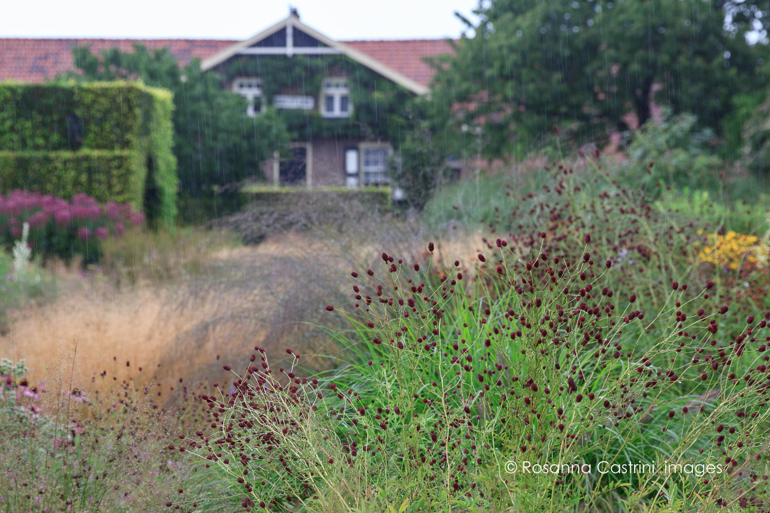 Ваш участок 10 соток? —Забудьте о саде «новой волны»