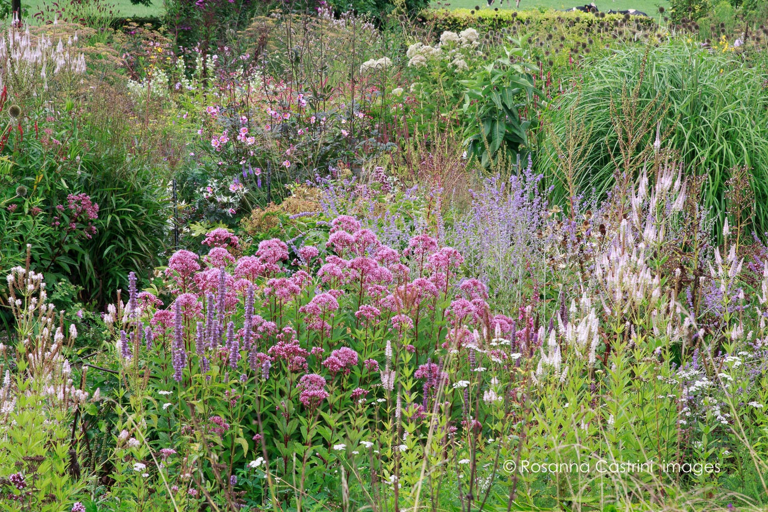 Сад «новой волны»: 5 дизайнеров, которые его определили