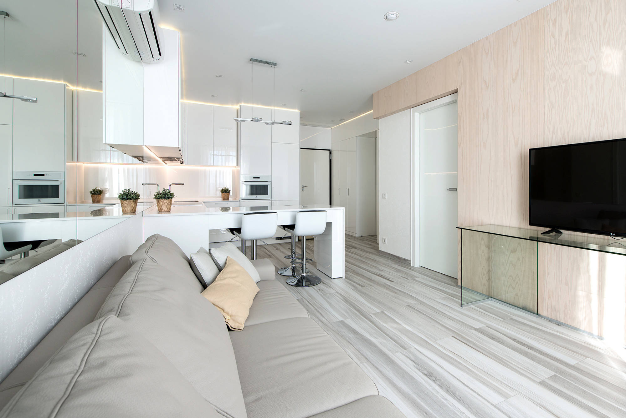 Есть проблема: Кухня в «еврогостиной»