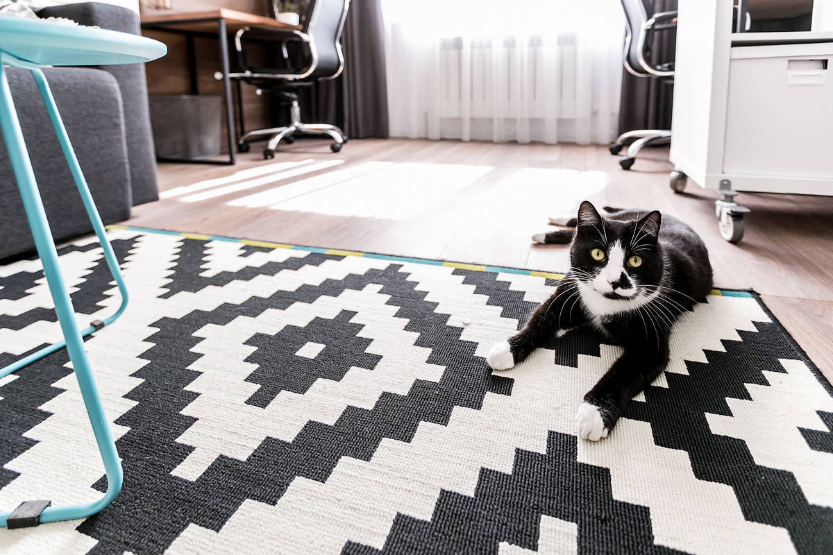 Ничего подобного: 8 мифов о непрактичных материалах