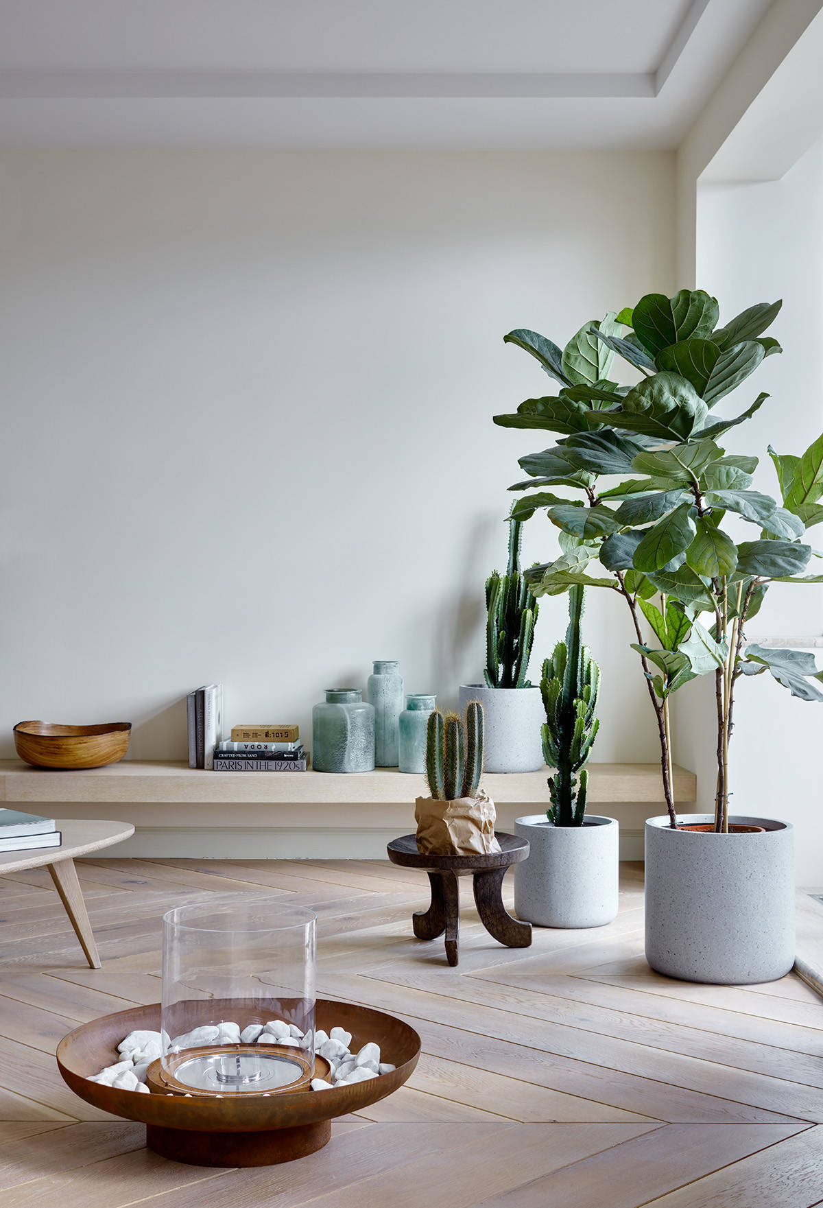 Вопрос: Как выбрать кашпо для больших растений