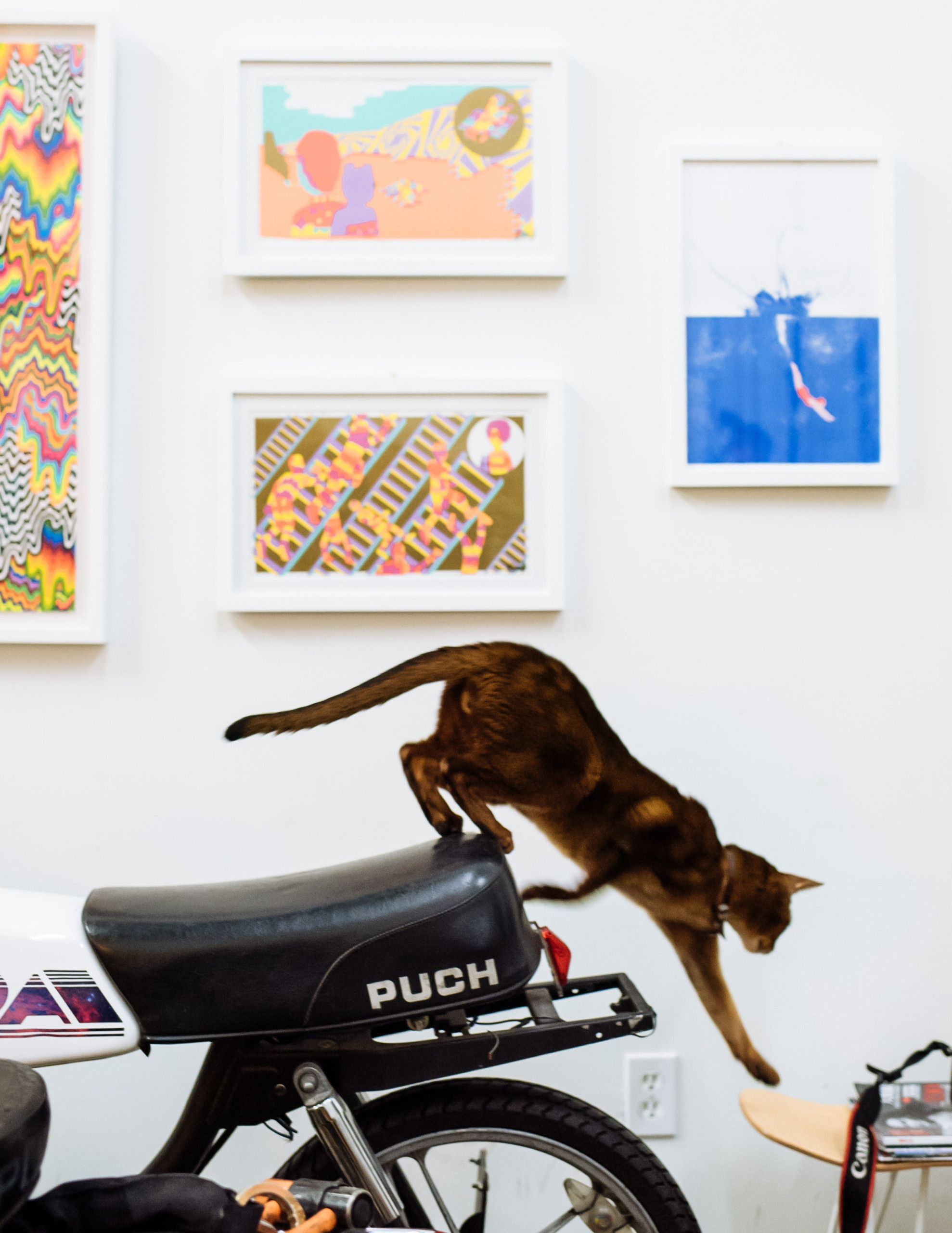 Про дым отечества: Спасаем себя и загородное имущество от пожара