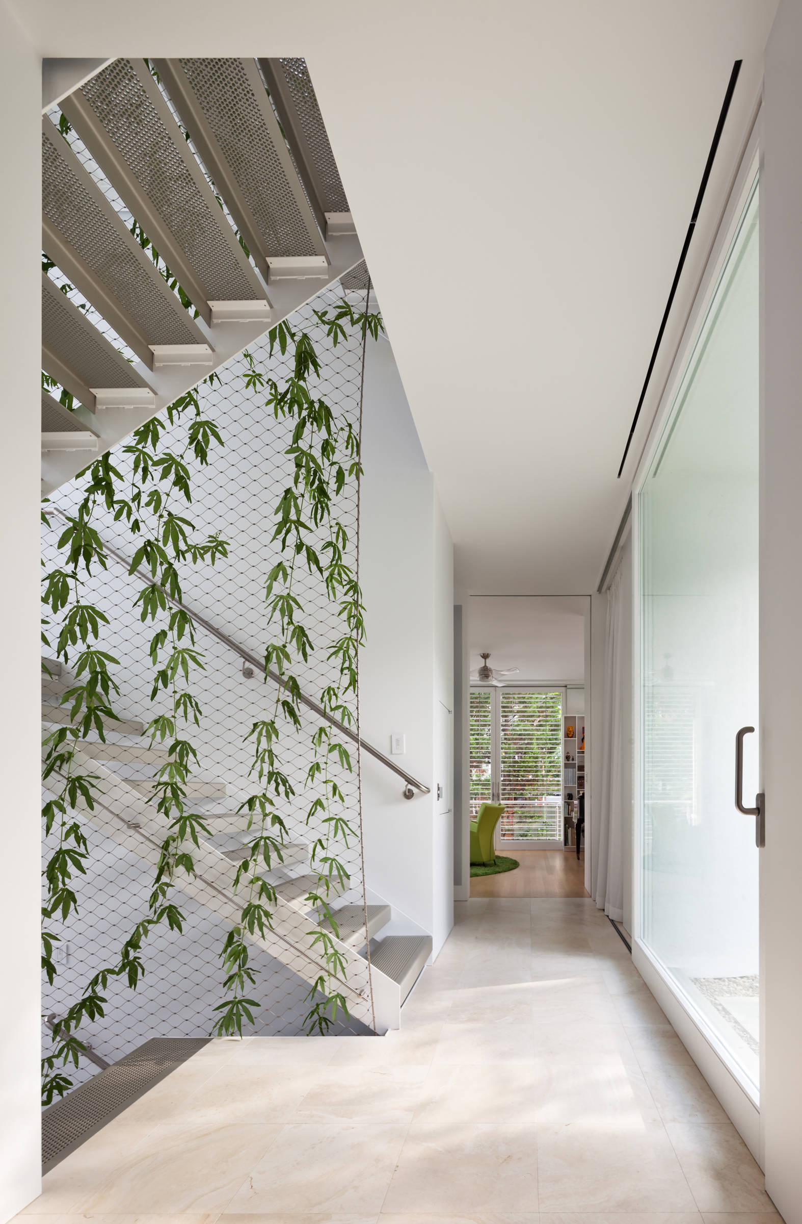 На кухне огород, а в ванной орхидея: Выбираем растения в каждую комнату