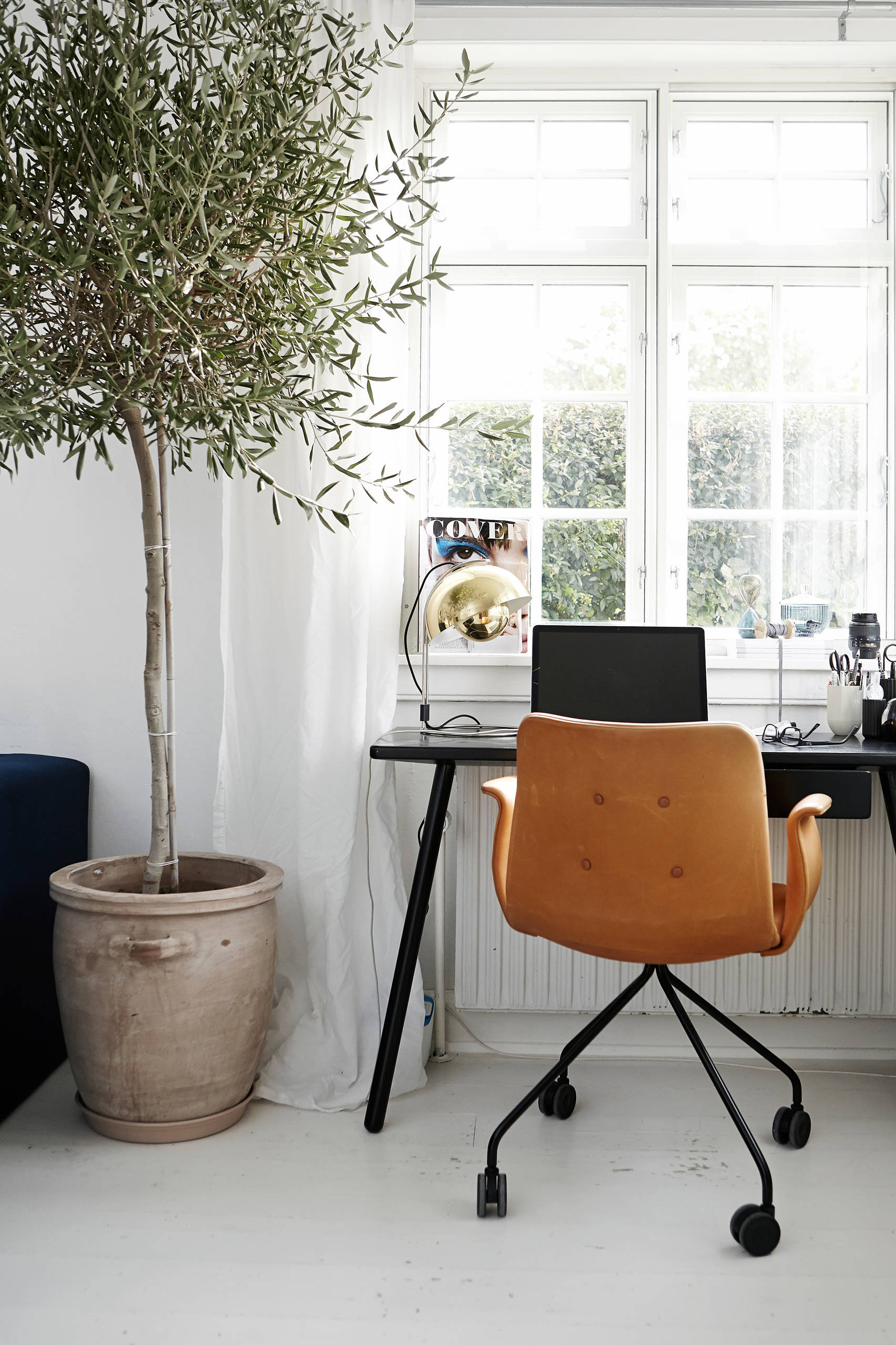 Вопрос: Как выбрать кашпо для больших растений