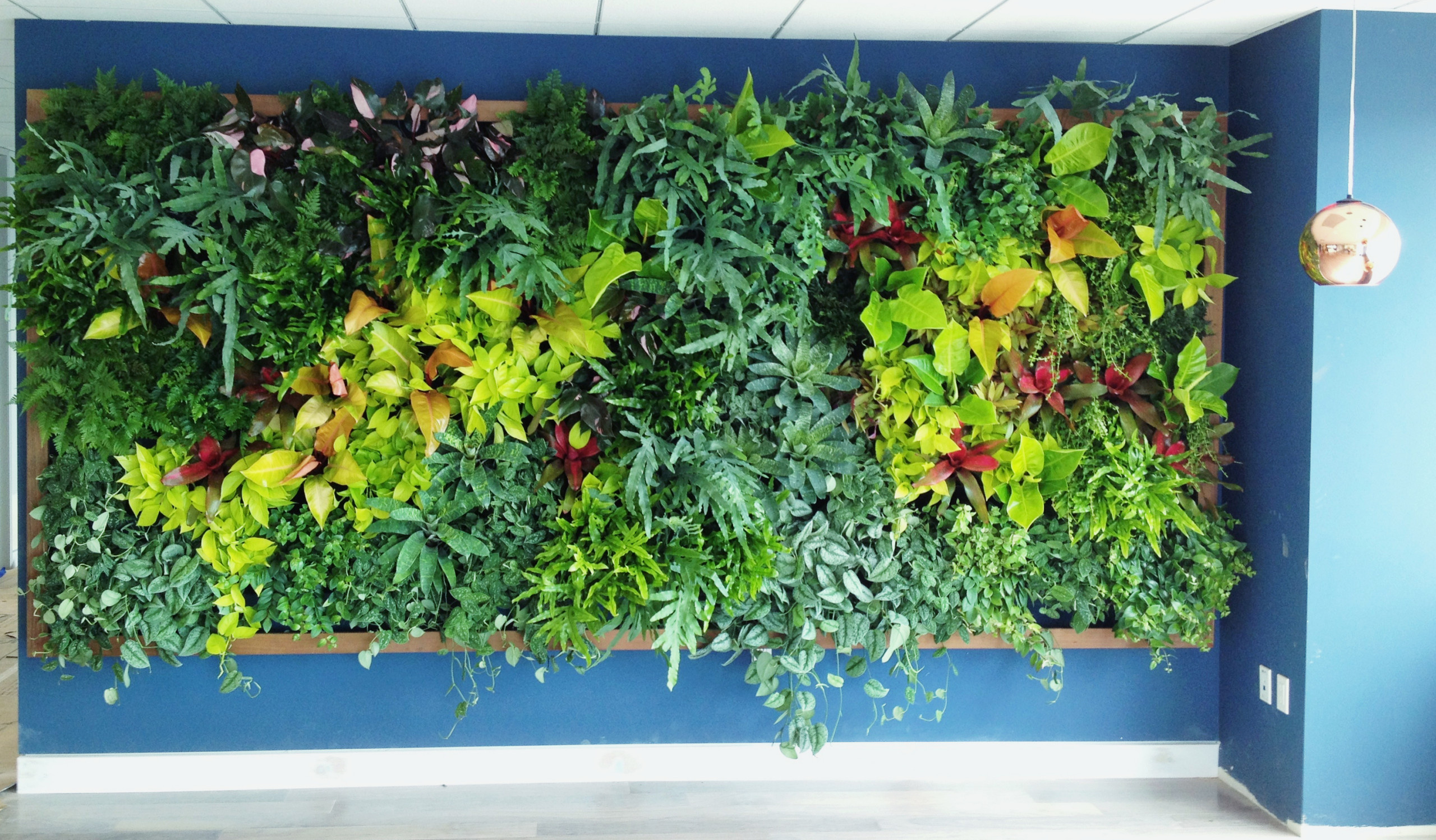 Шесть проблем, которые решает вертикальное озеленение в квартире