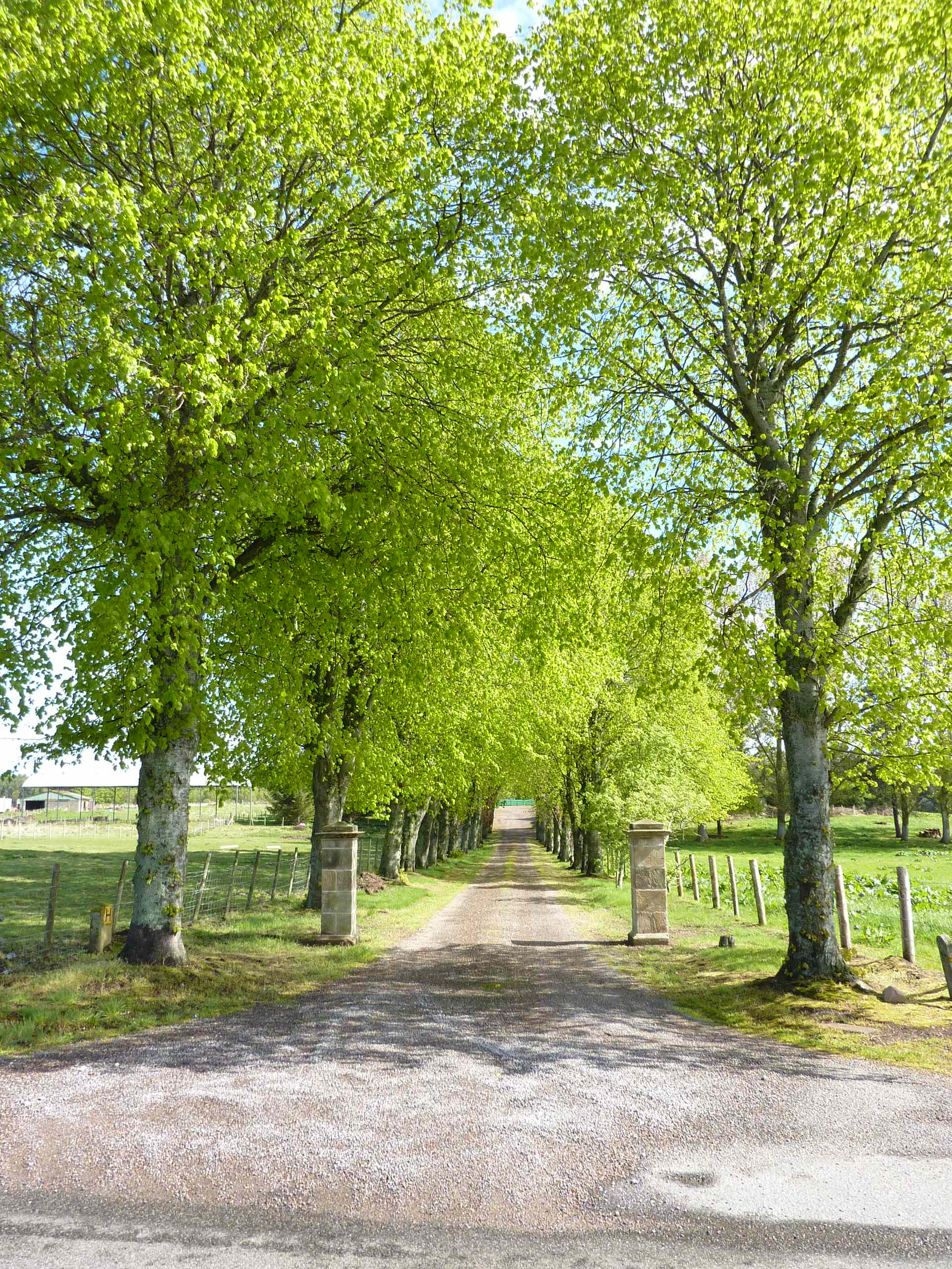 Как правильно: Построить дом, который не захочется перестраивать