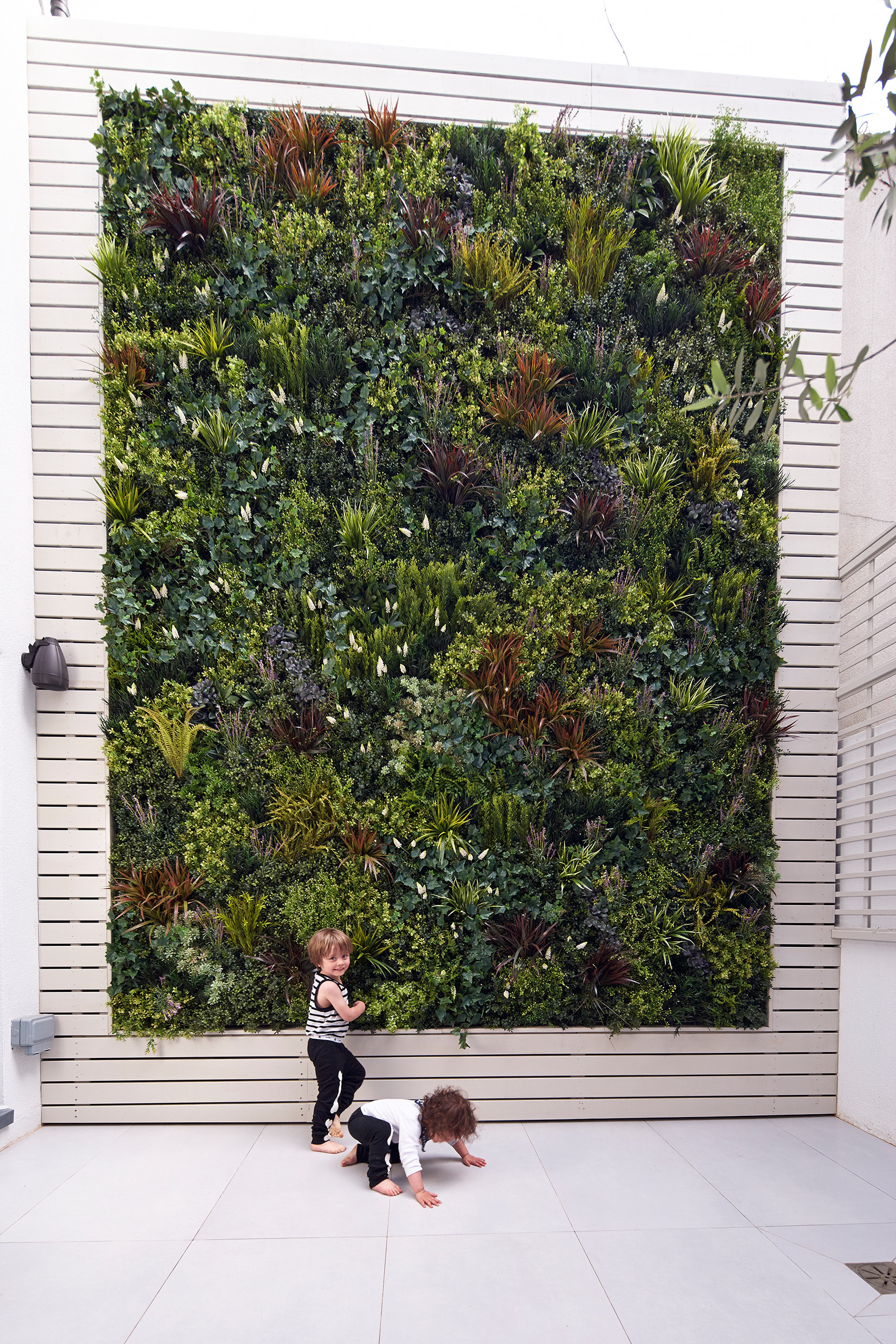 Вопрос: Есть ли альтернатива девичьему винограду на фасаде