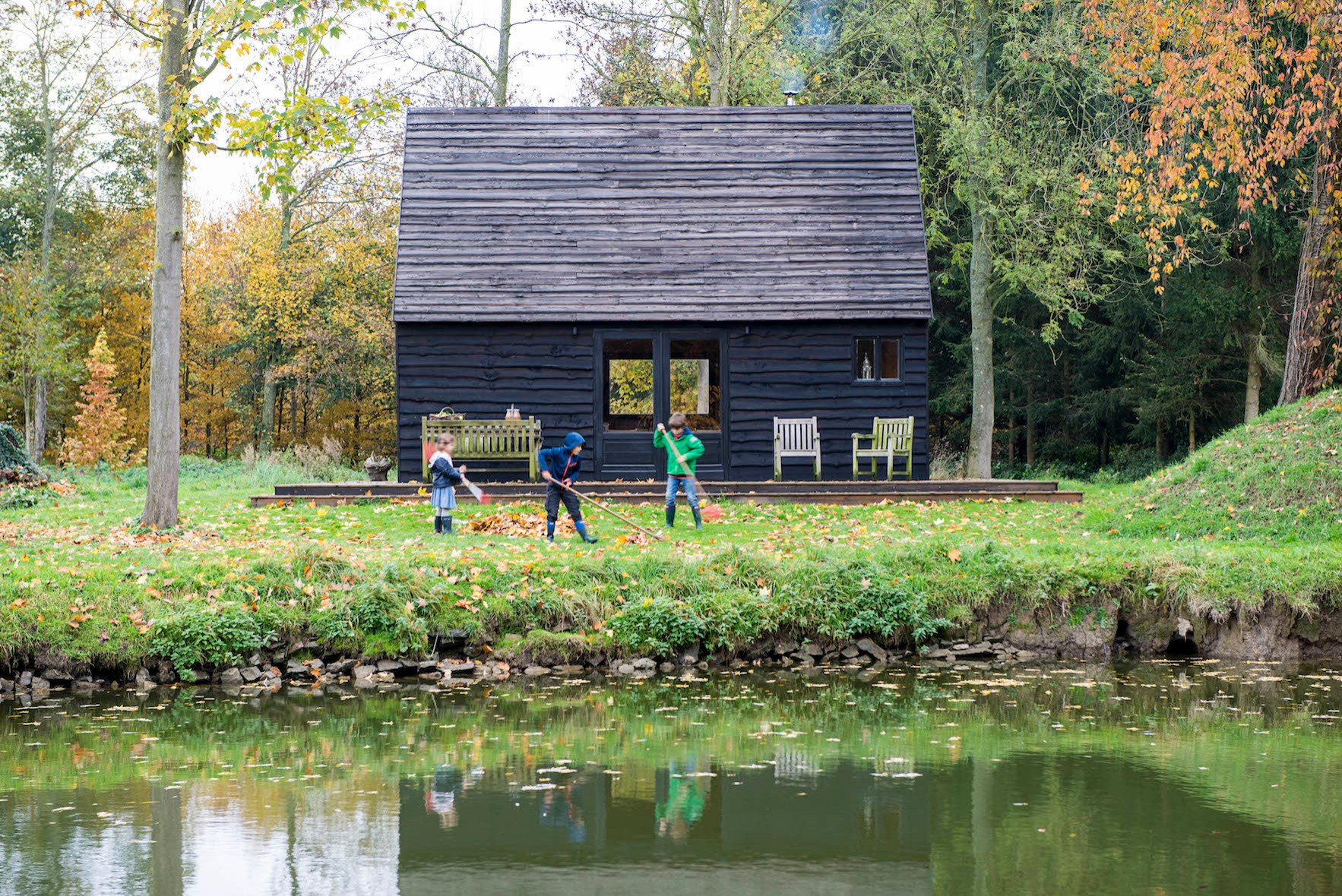 Прогулка на диване: Дома в глухом лесу