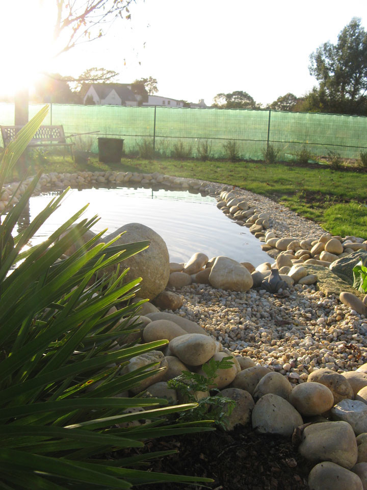 Фотоохота: 69 идей, как оформить пруд на даче