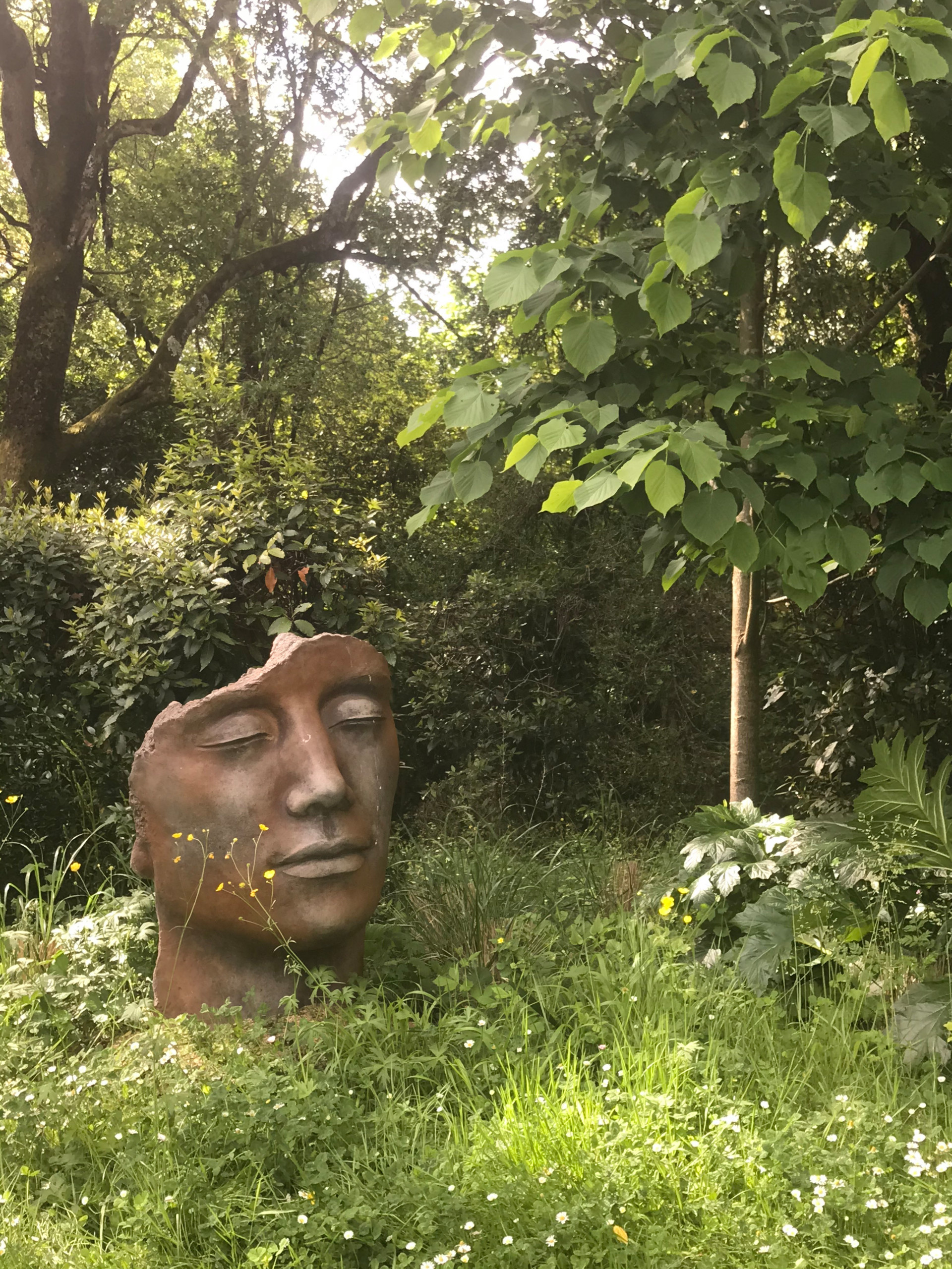 5 дизайн-решений для сада, от которых чаще всего отказываются