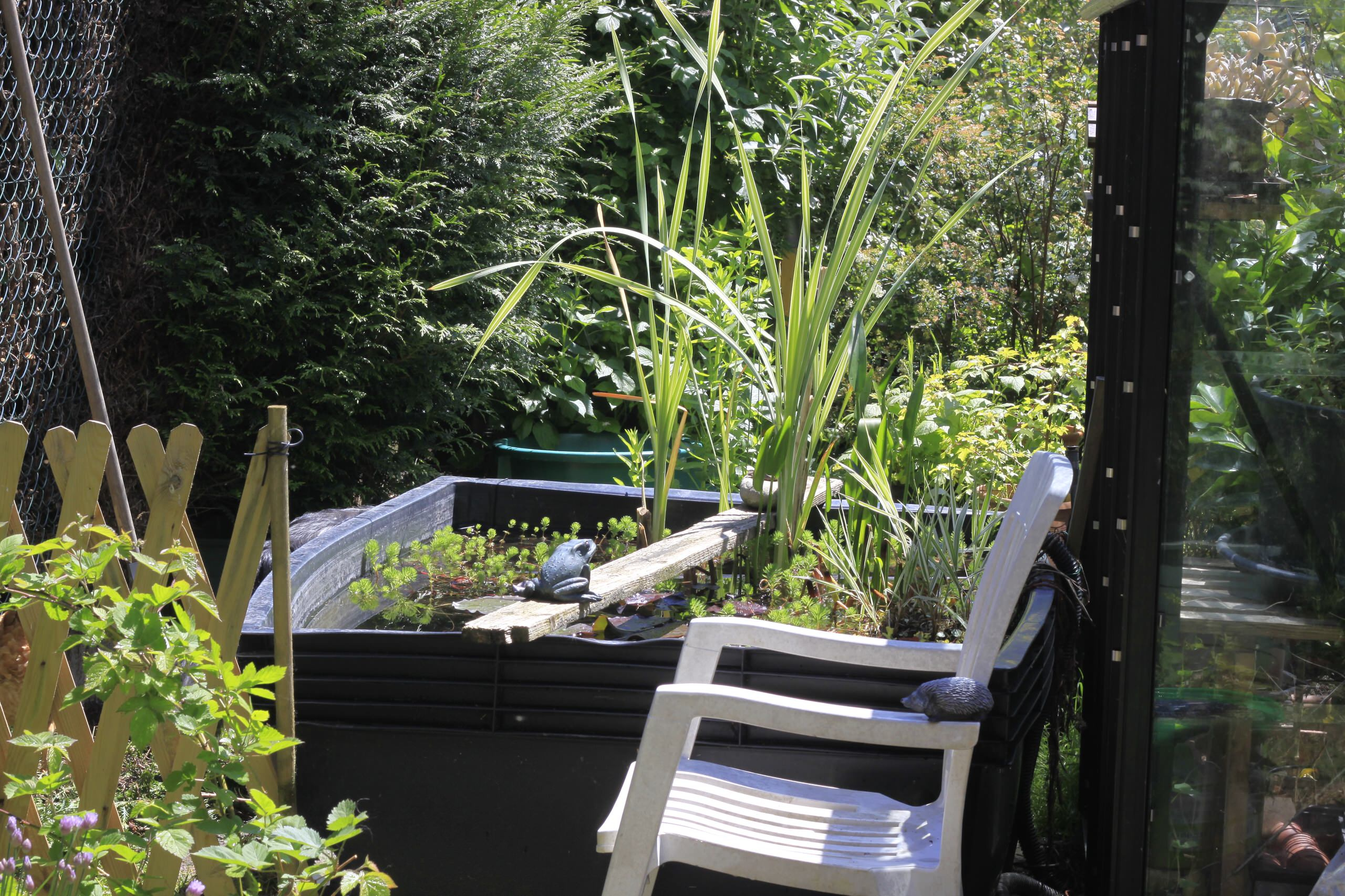 Фотоохота: 69 идей, как оформить пруд на даче